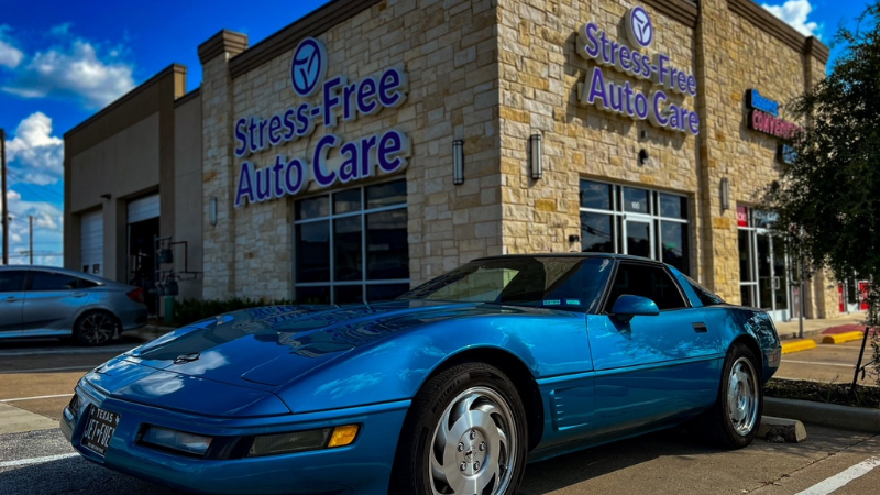 Texas Spring with Longhorn