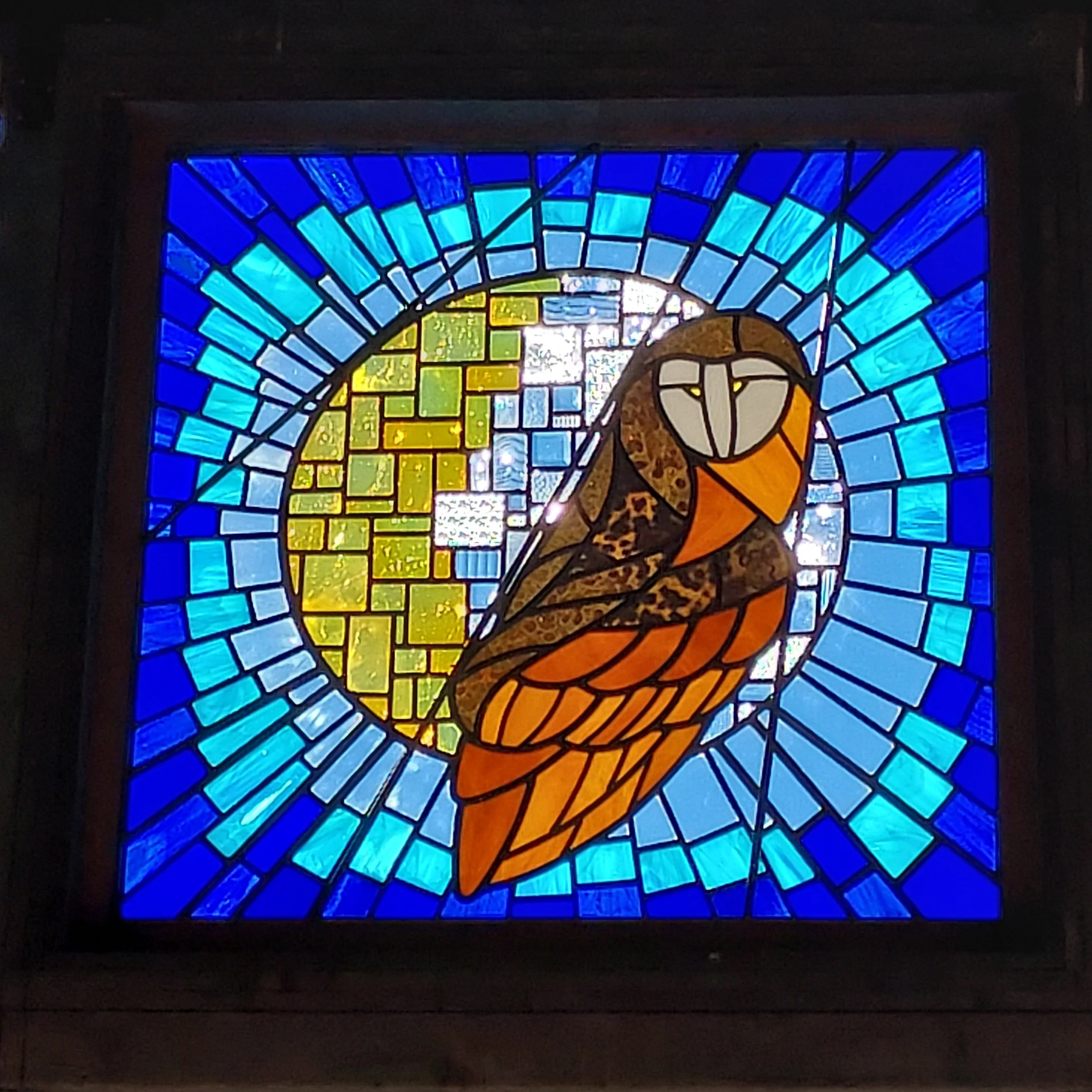 owl1.jpg
