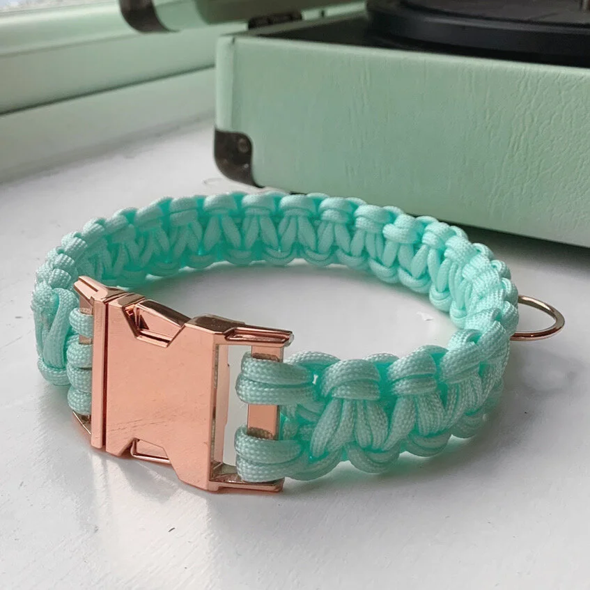 48483AF7-FA5F-48F3-82D5-4408276F7A81