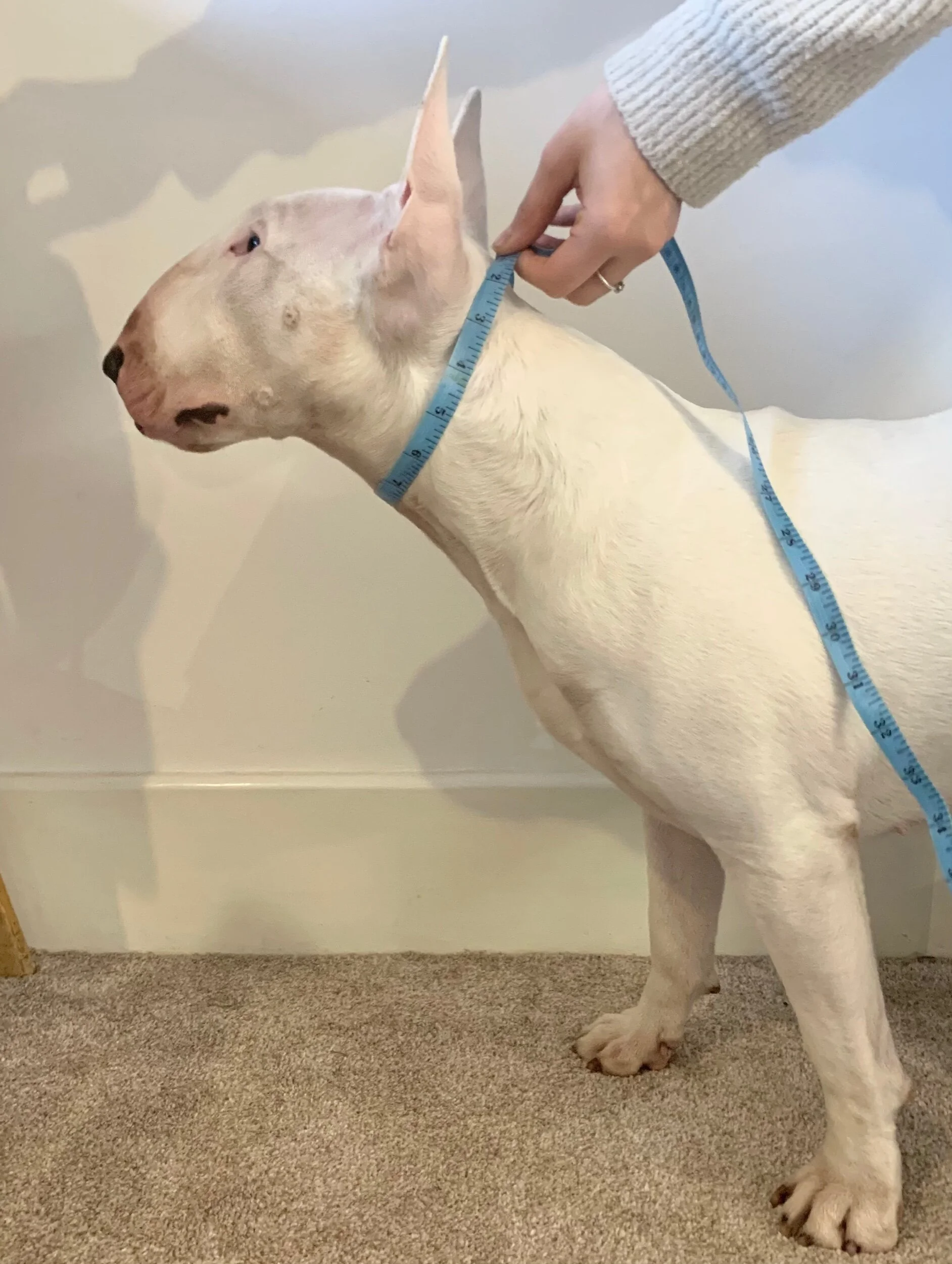 3D1F51E3-D75D-41DA-B8F9-0D32D12AAFBF