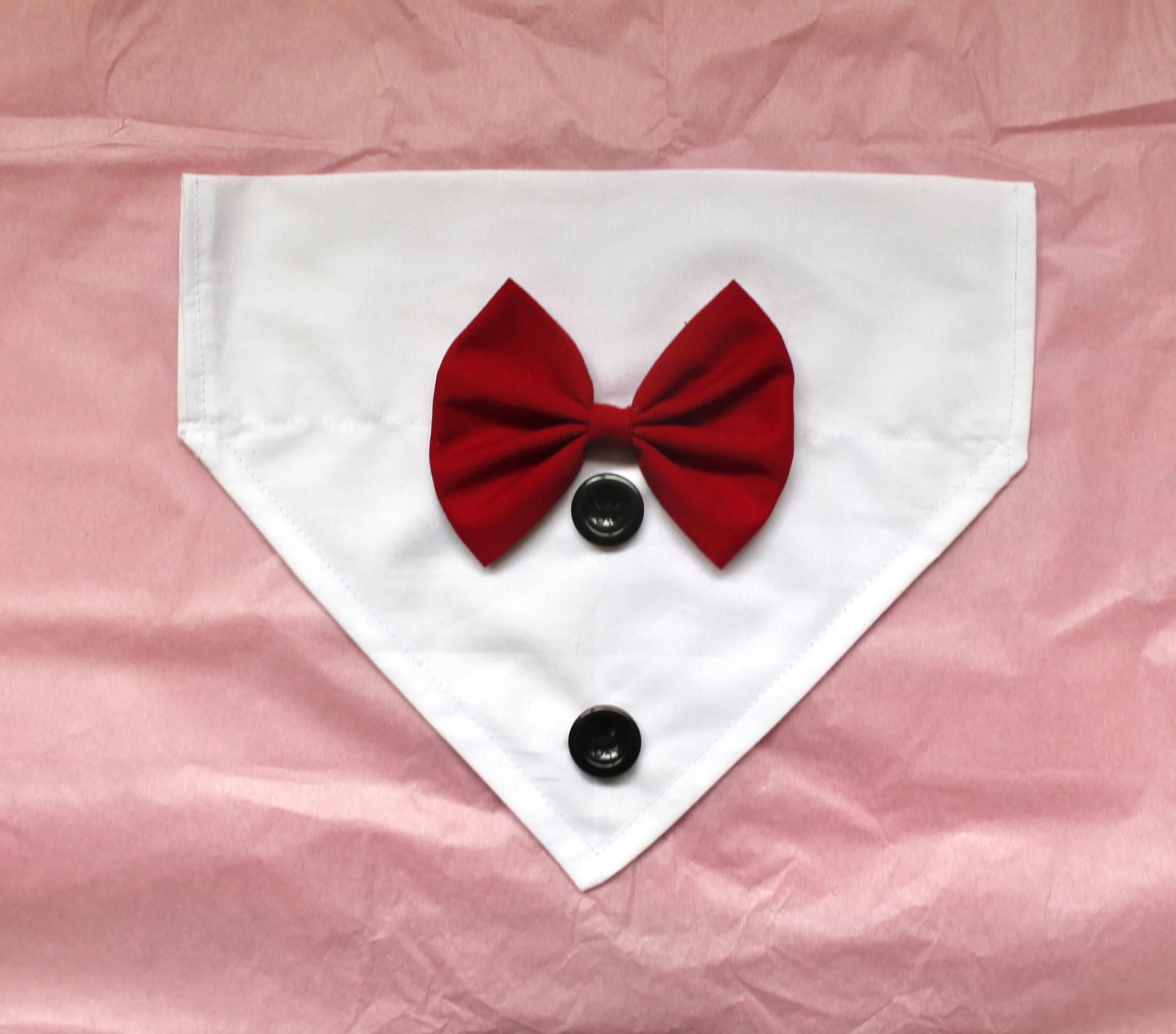 BF6A4001-E2BC-4002-9C2B-71300B6A8328