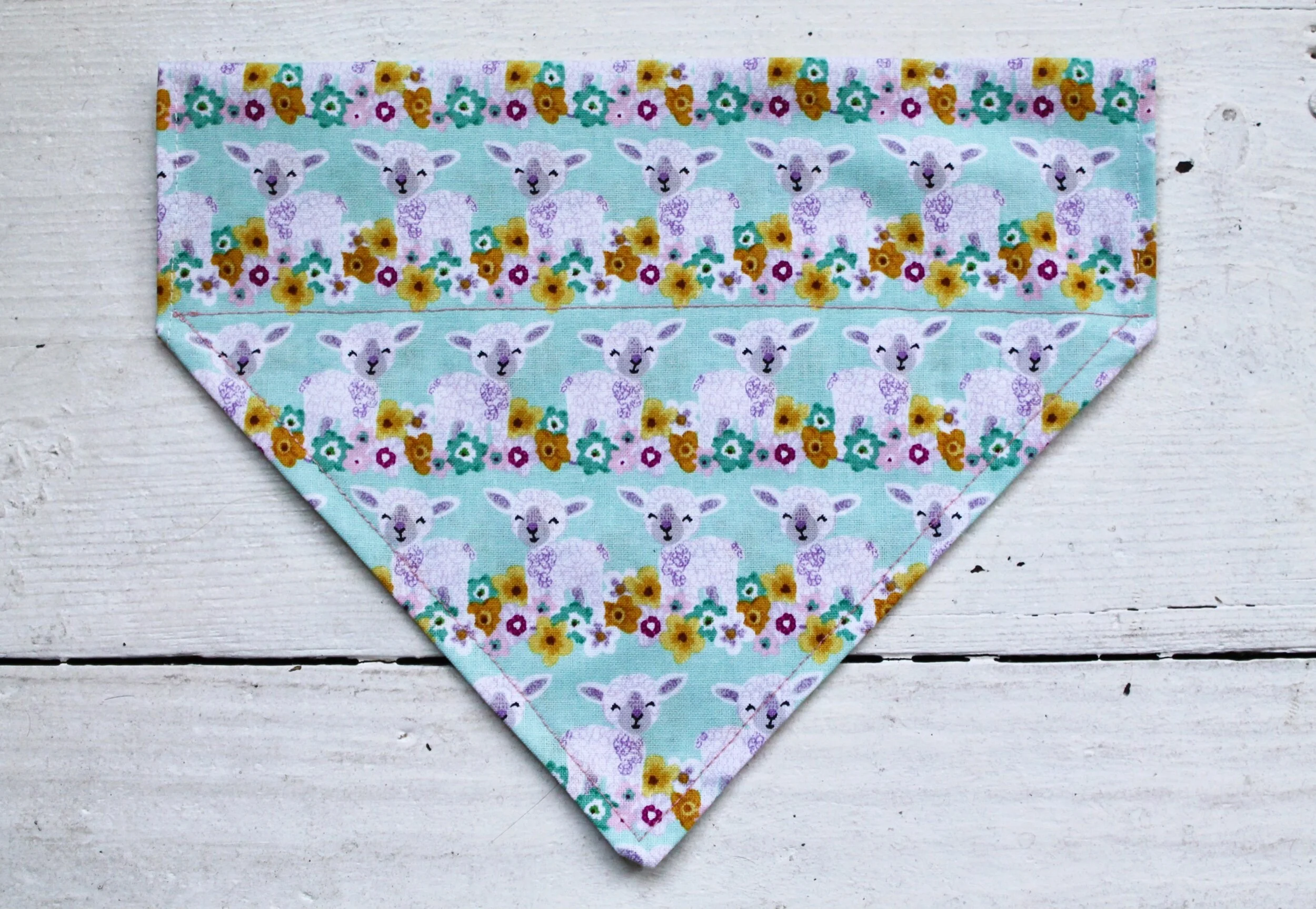 4D3BE394-6E58-4D7C-8DBA-836A05ED2EE4