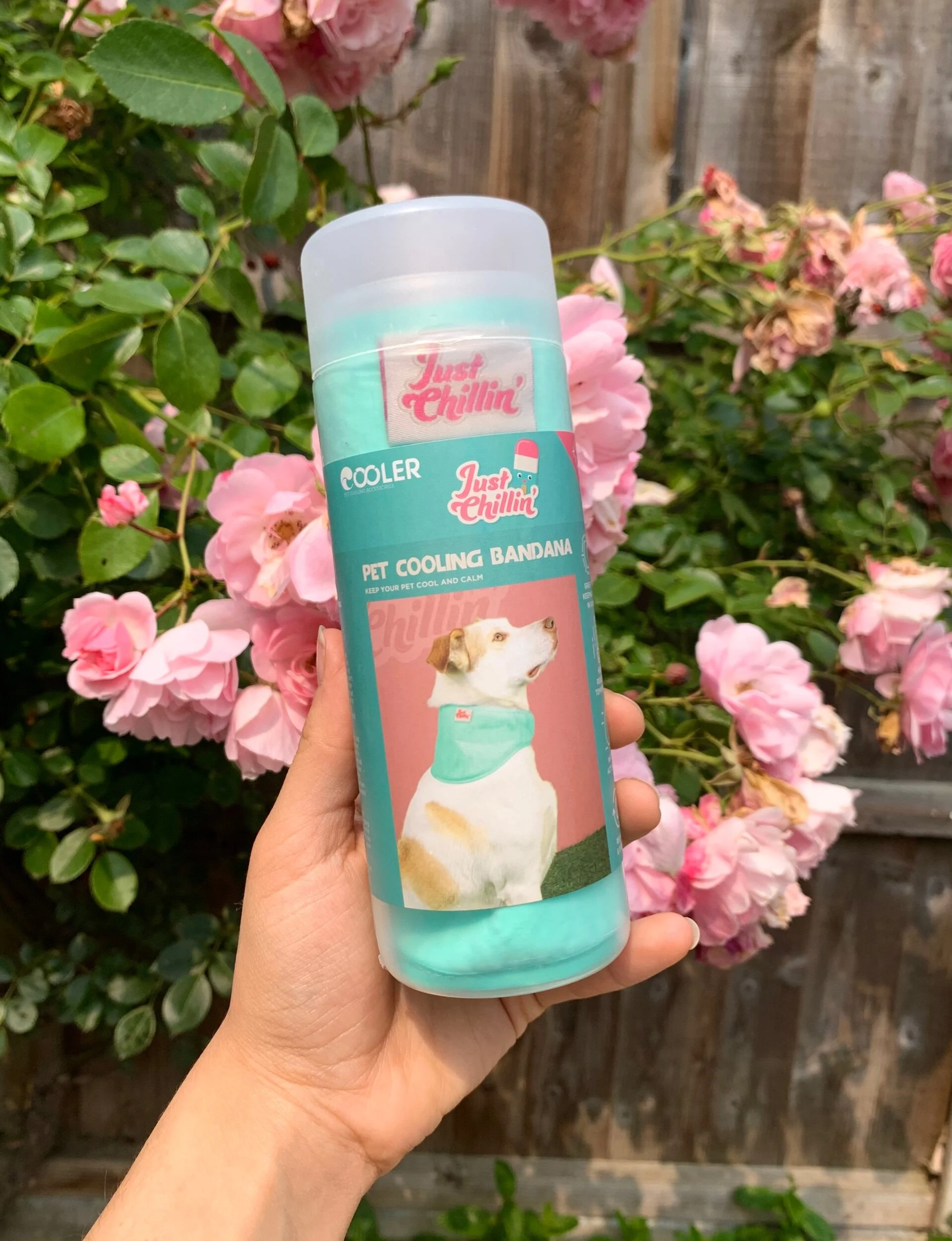 C66D10E5-0801-4AF5-A4AC-5ACD0D3B4F4E