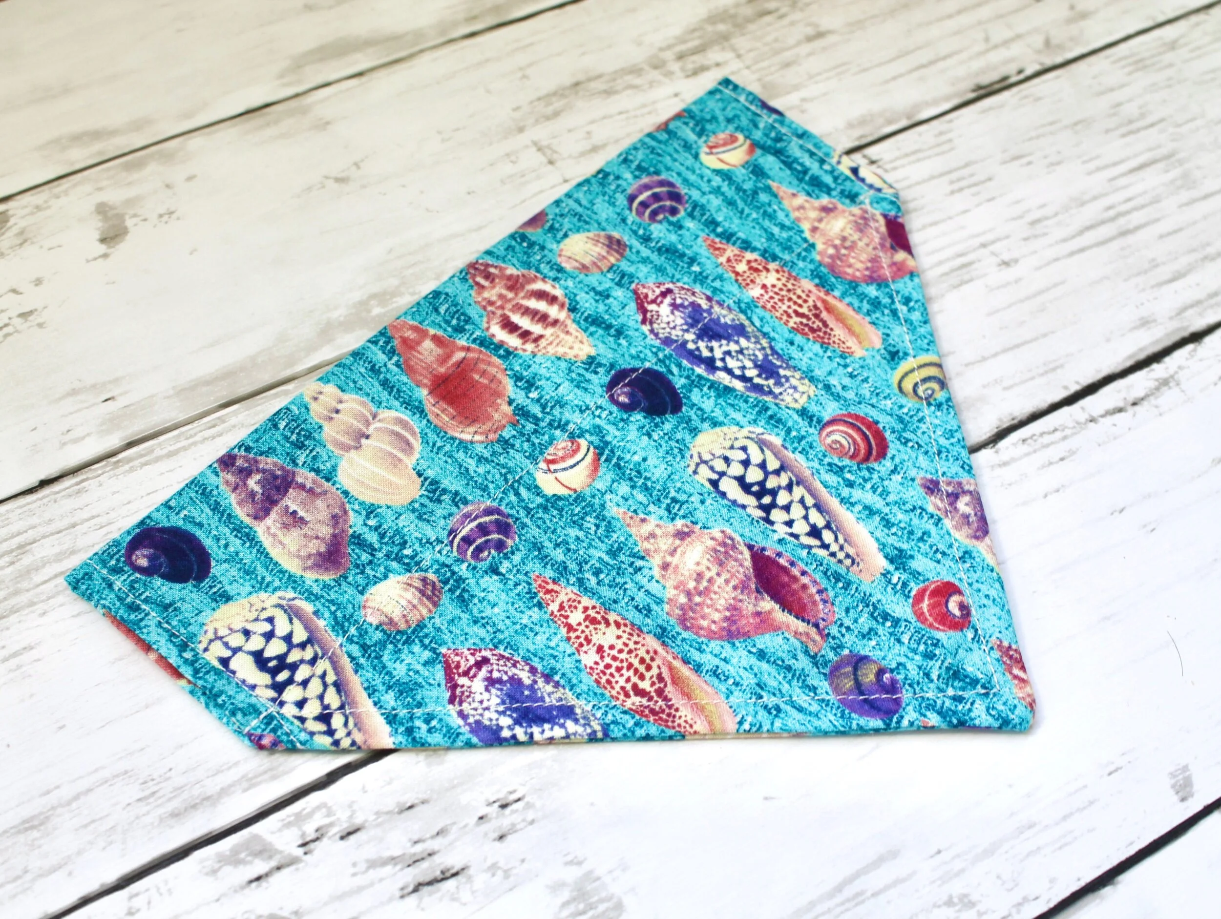 13A0C248-D01F-40C8-9AAB-D79C10E6549D