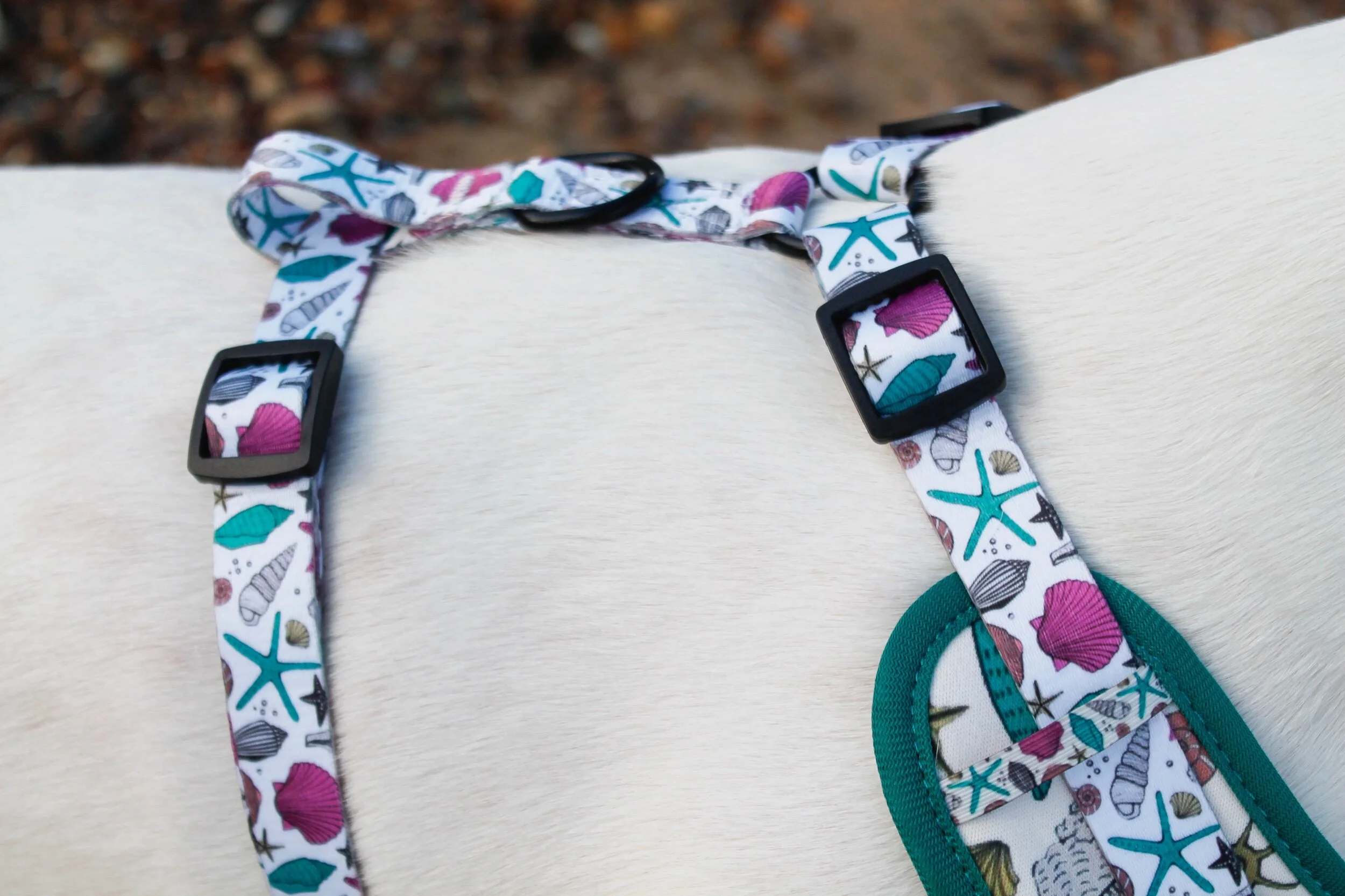 5554F7D3-3DBE-45D1-872C-0BA1E6C98034