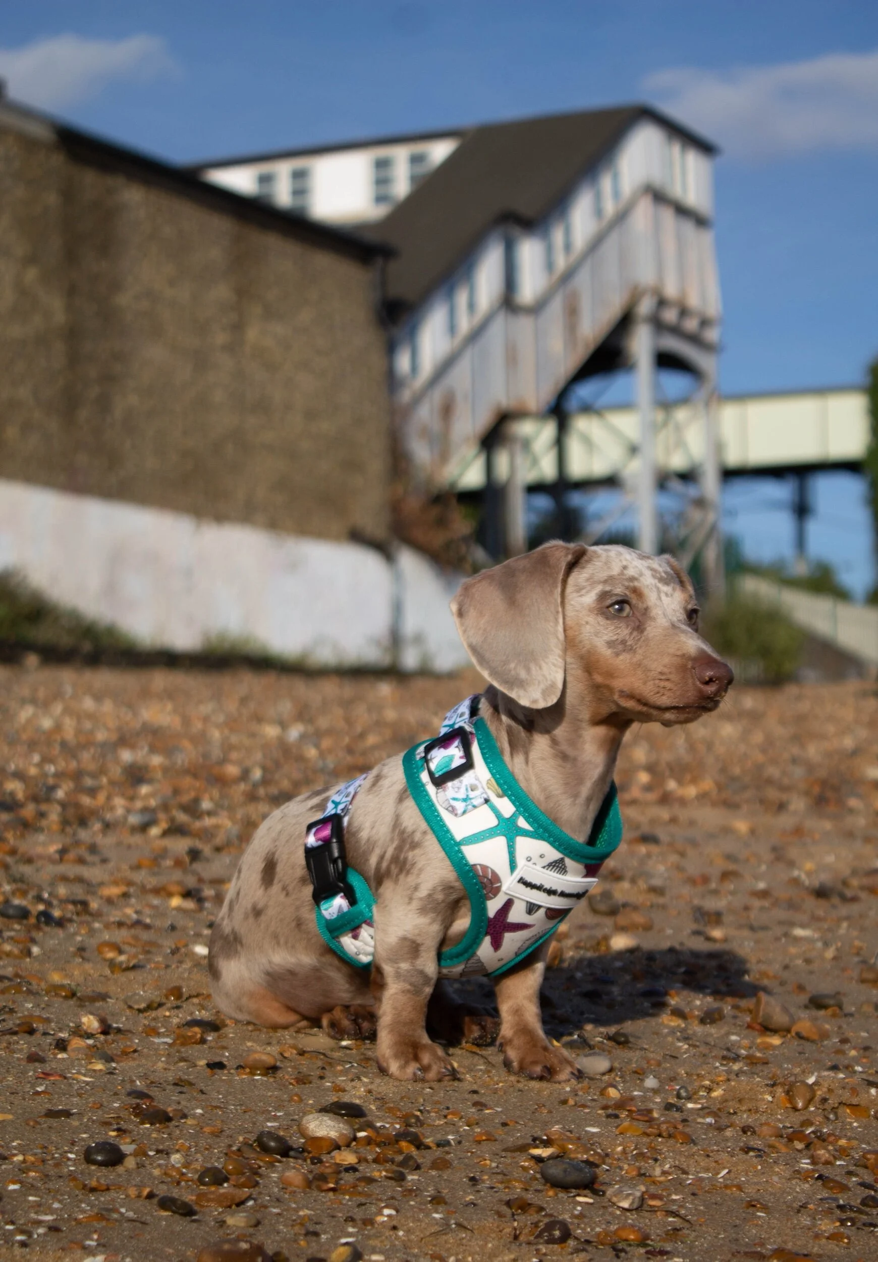 D91AEBAE-A65A-431F-8566-E743BD7C0B6C