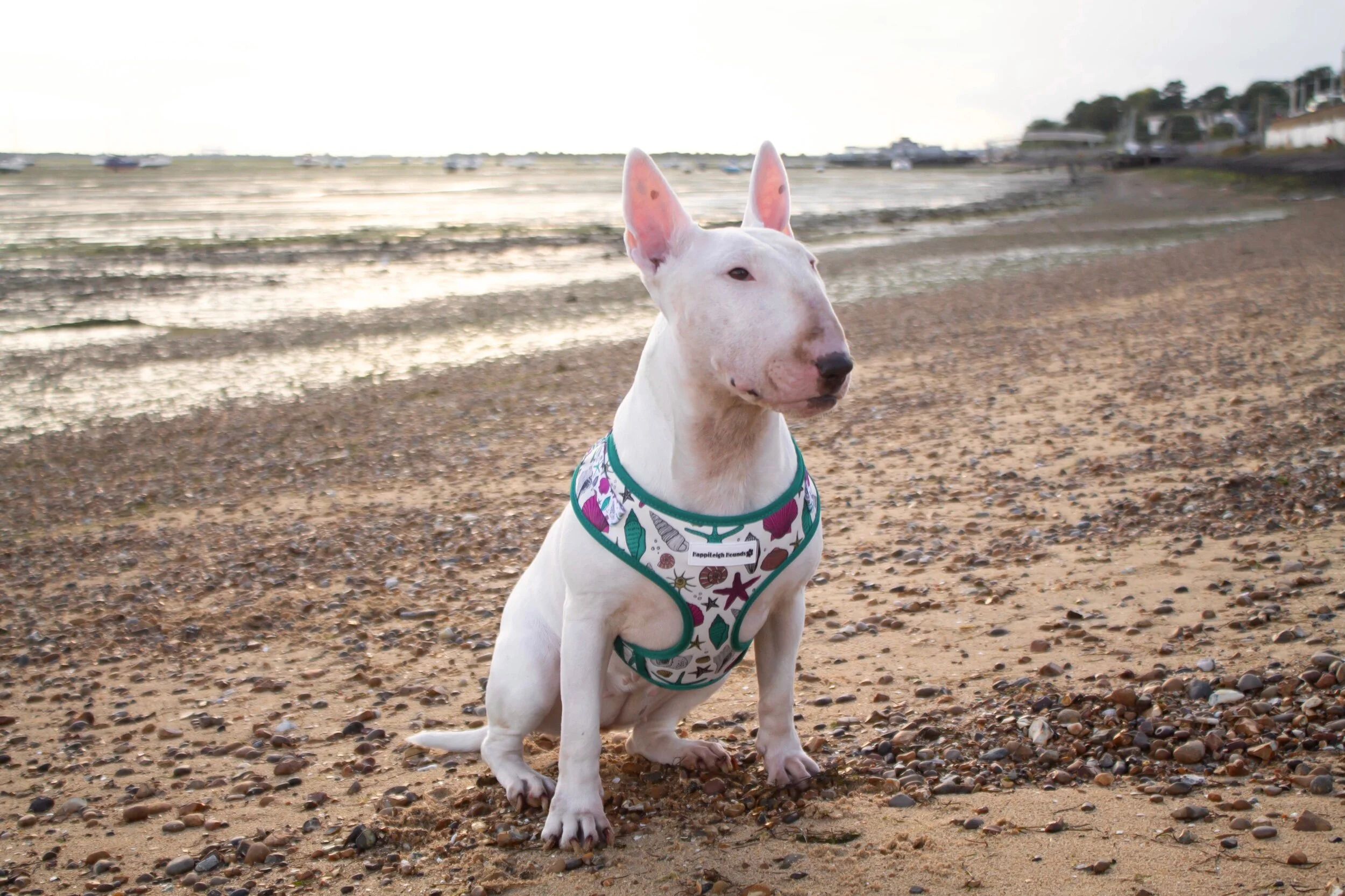 DD92B3D6-F7C9-4C5C-BB9F-3ACE69A1AFC3