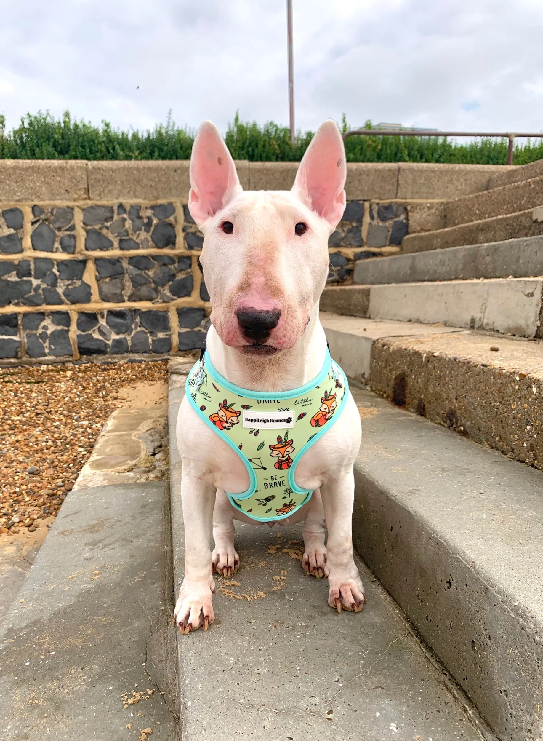 018852CA-052A-441D-BEE1-3BD2B8FF9044