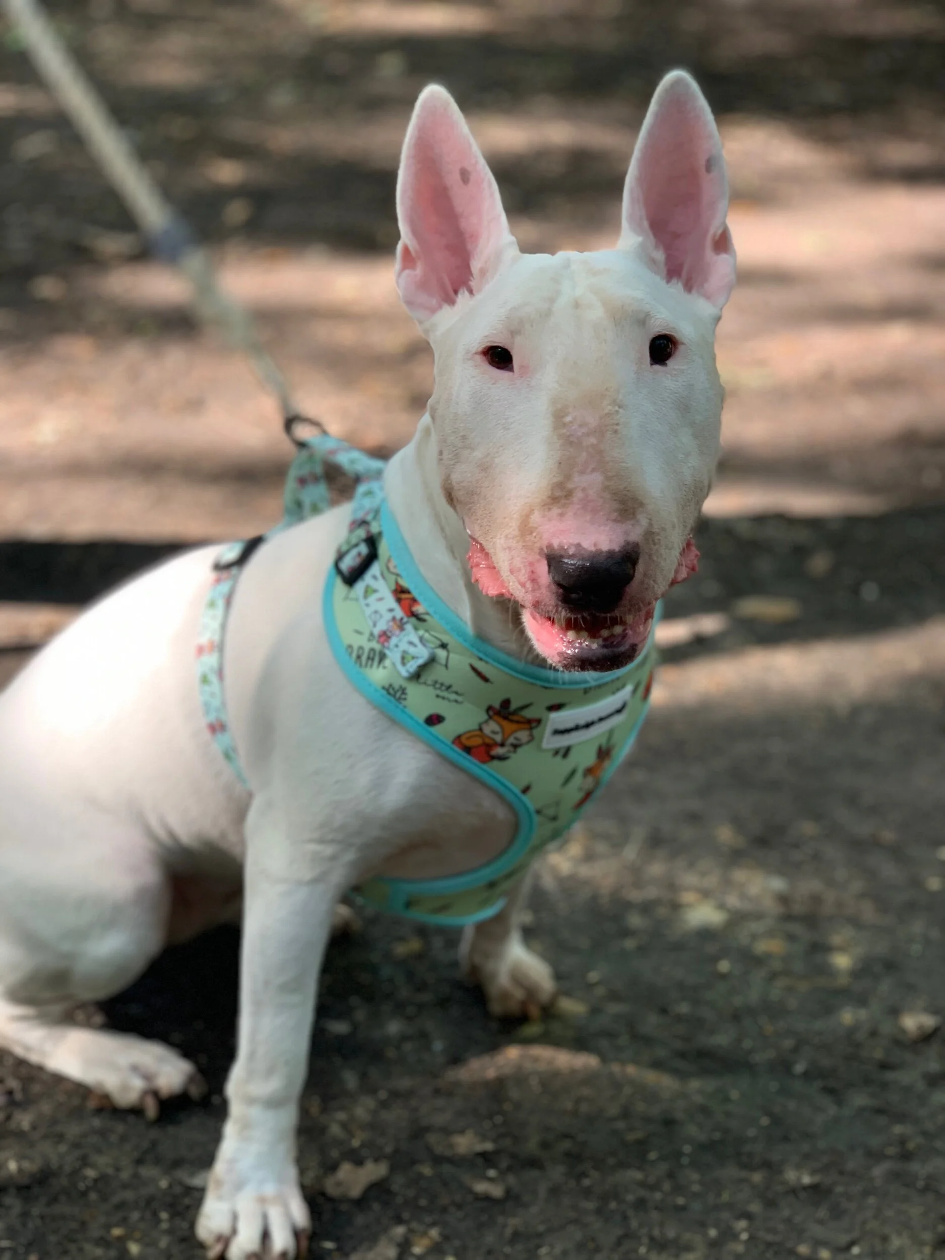 491D9303-9BA8-4B08-BCC1-0B1458752AC2