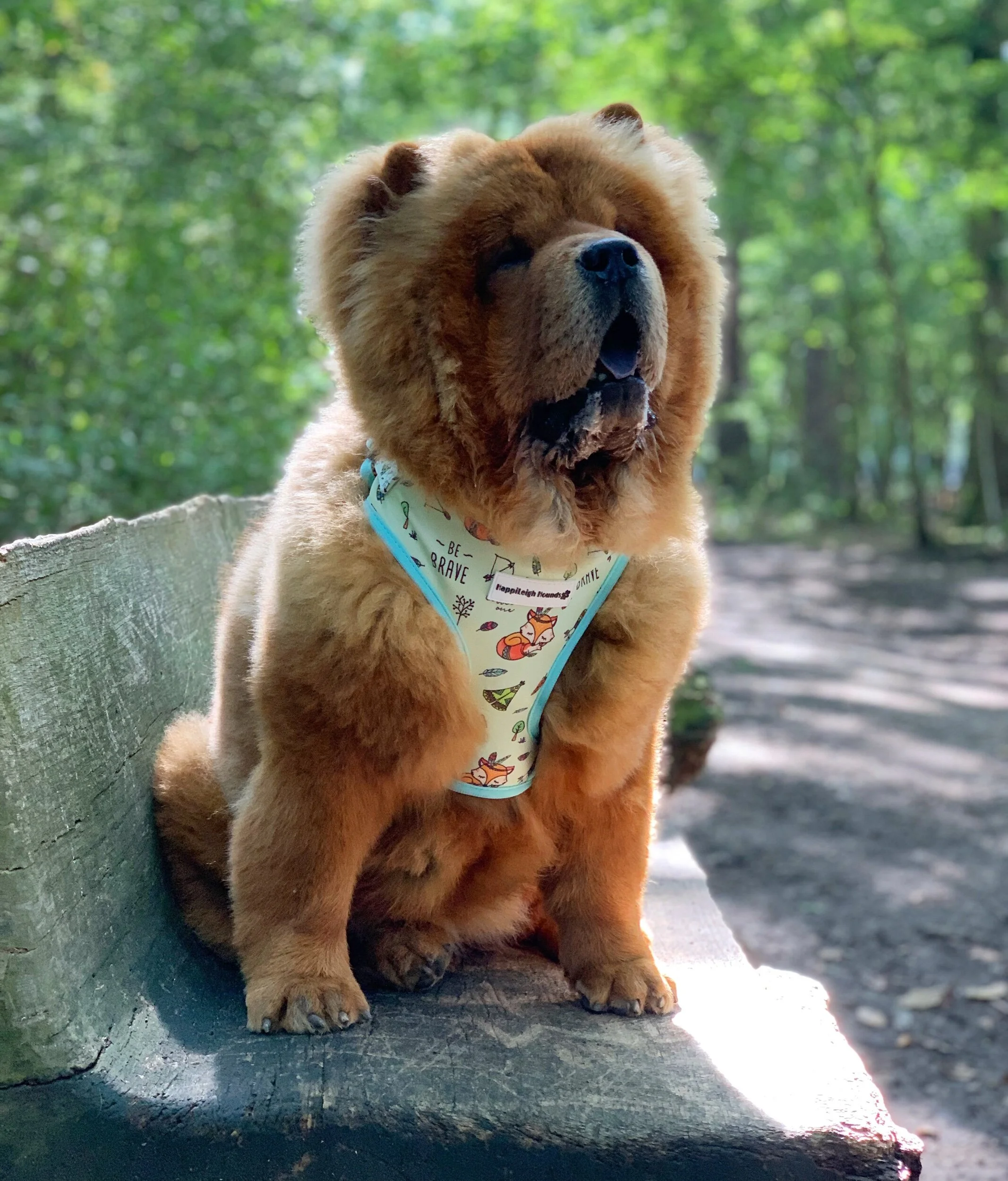 B5815F1B-B9E9-4106-9827-3CD4355B108A