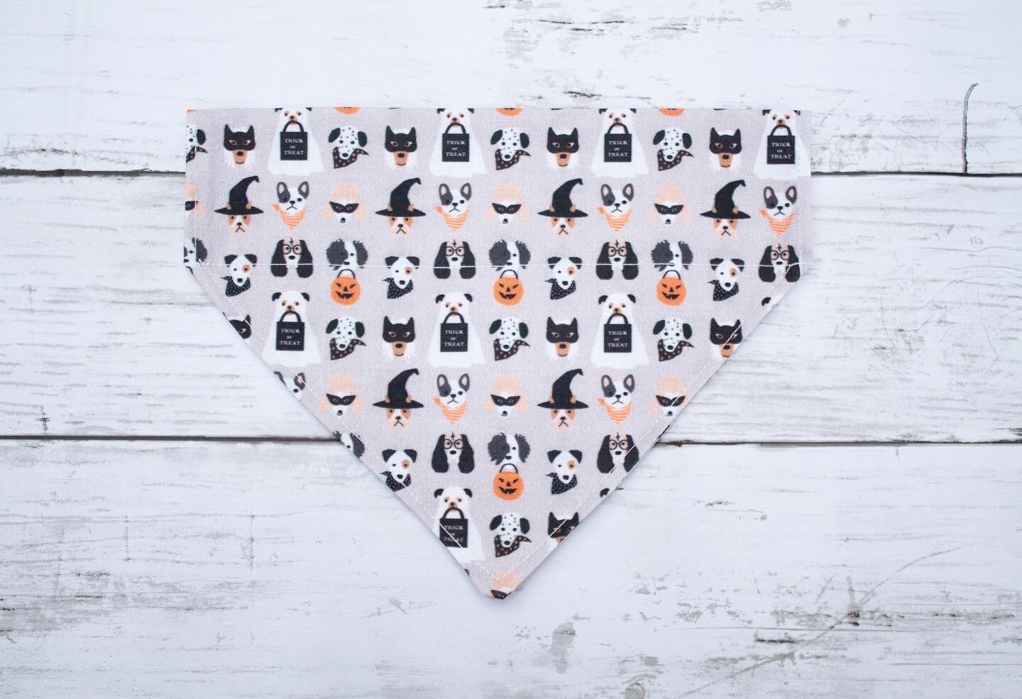 9B2B87D0-BEAF-40D1-B13A-7C769FB202F7