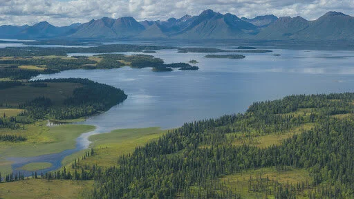 Pebble Mine: Evaluating Environmental Degradation Against Natural Resource Demand