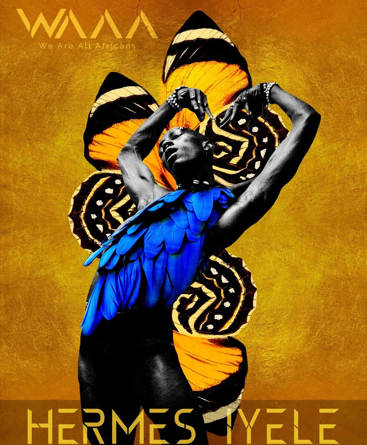 A woman with dark skin and short hair, body painted black, wearing a blue feathered dress, is striking a pose with hands near her face. Behind her is a large orange and black butterfly with intricate patterns, set against a gold textured background. In the upper left corner, there is text that reads 'Waka We Are All Africans,' and at the bottom, it says 'Hermes Tyele' in yellow letters.