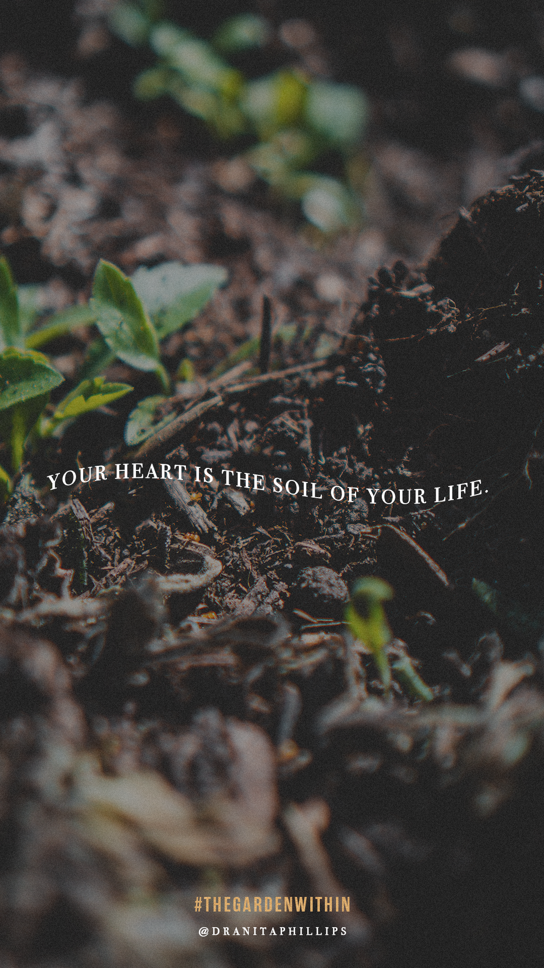TGW_Quote 1 (1).png