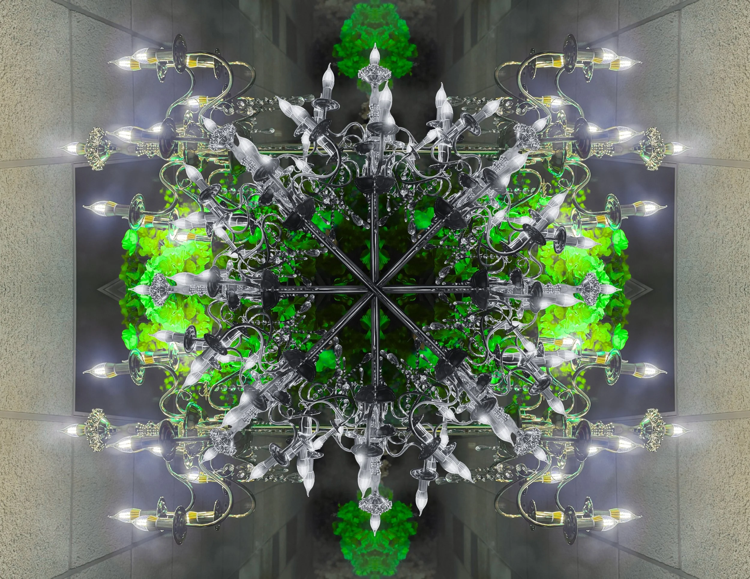 37.jpg