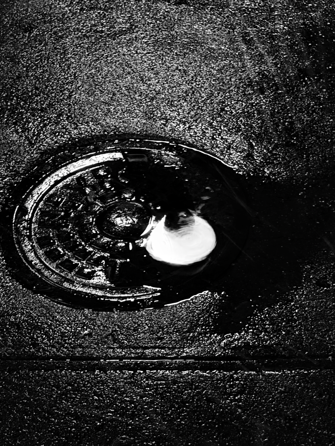 Screen Shot 2026-01-19 at 12.07.48 PM.png