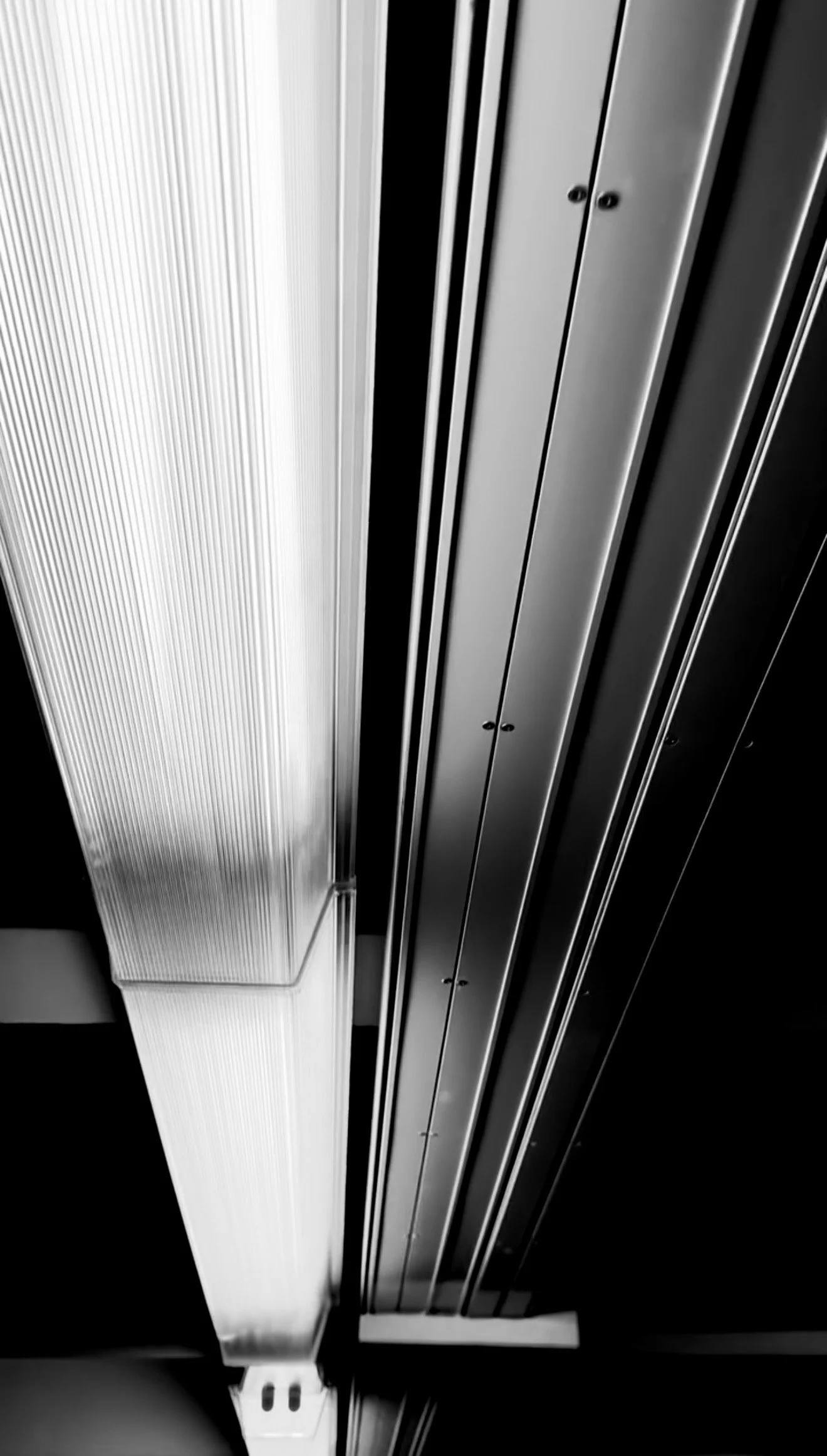 IMG_8728.jpeg