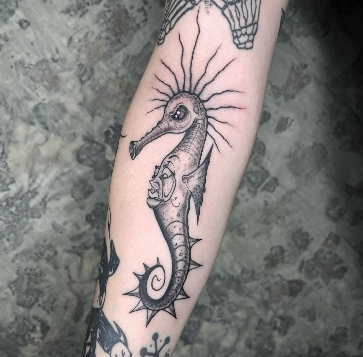 Seahorse by @dannydiablx