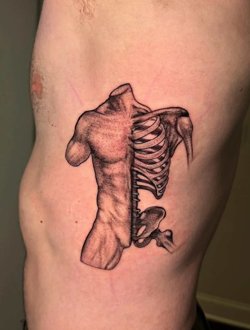 torso 🩻 by @avila_roman