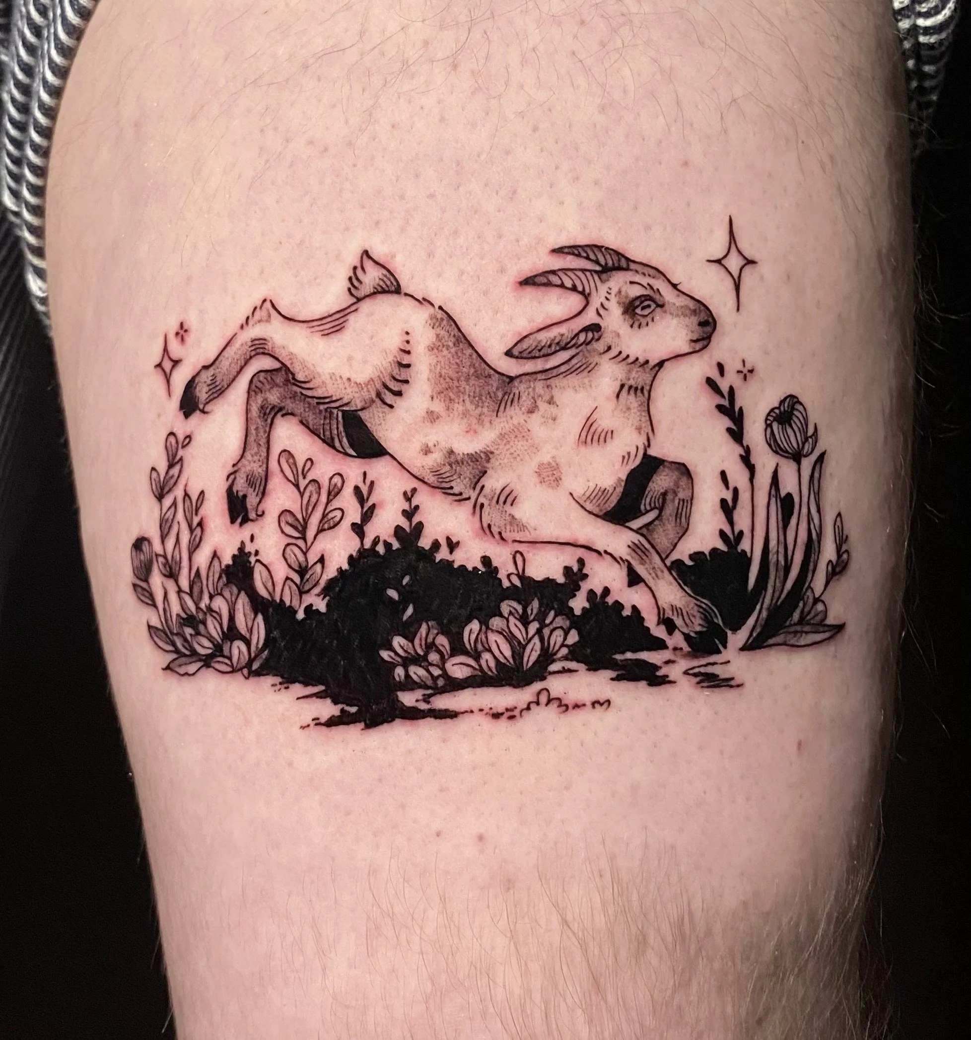 little illustrative goat done by @maeowl 

Woodland creatures could never go out of style ✨🌳

#womantattooartist #goattattoo #whimsy #woodlandcreatures #whimsicaltattoo