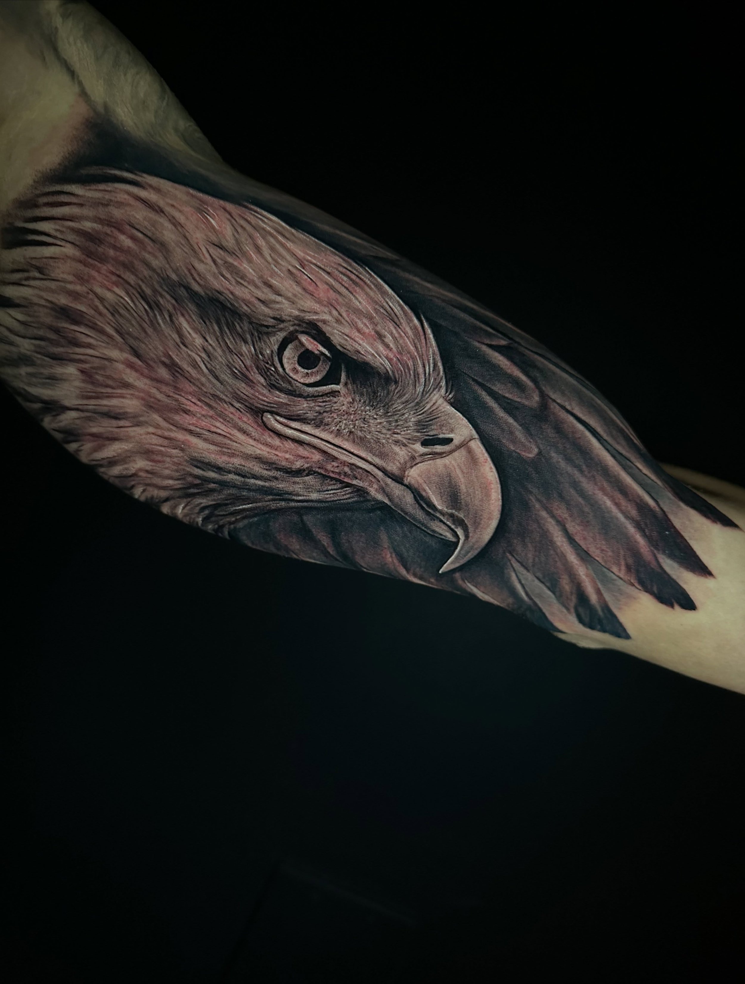 HAPPY 4TH OF JULY 🇺🇸🎆

#eagletattoo #realism #microrealism #eagle #fourthofjulyweekend