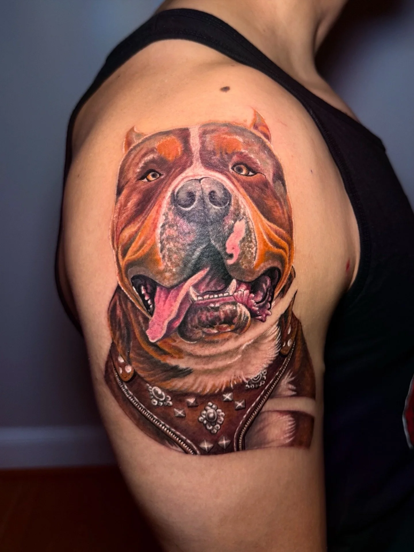 Full color Dog portrait 🐶 by @pablo_barraggan 

looking to have your pet on you forever ? book your next session 🐾 through our link in our bio 

#petportraittattoo #dogportrait #colortattoo #petlover #pettattoo