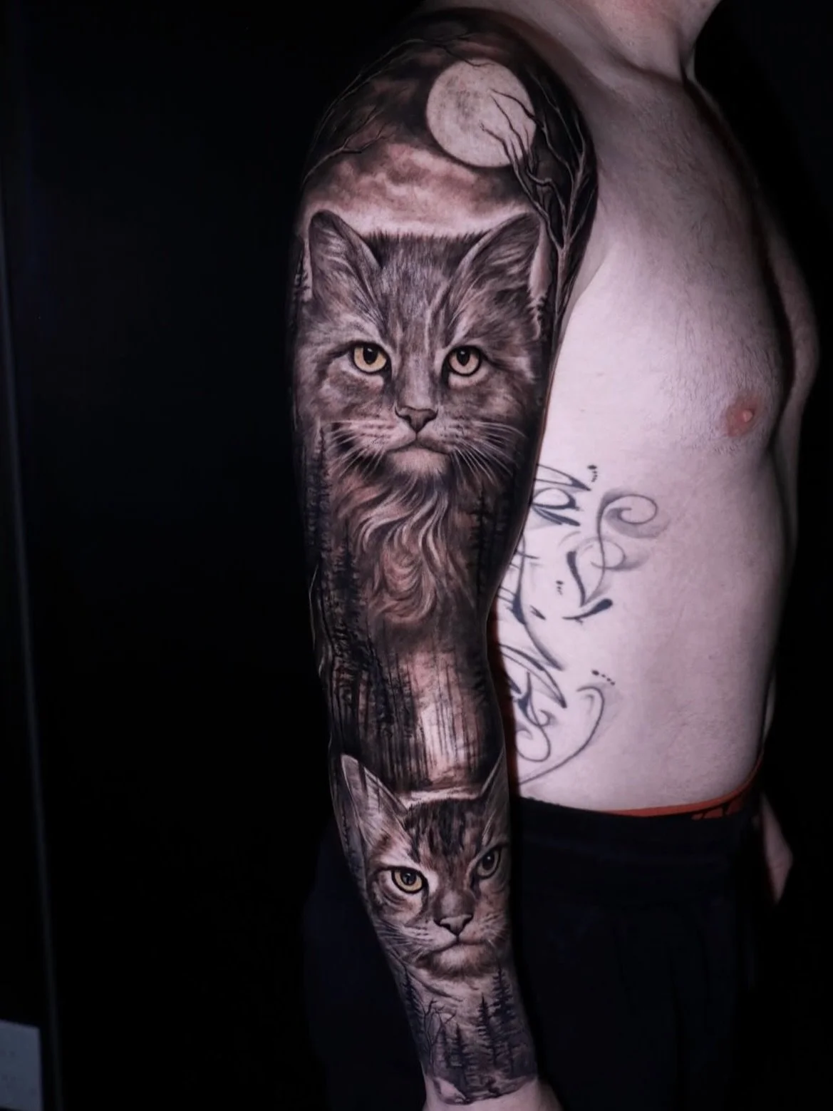 Cat sleeve 🐈&zwj;⬛🐈🌙 by @fer703 

Would you get your pet tattooed on you ? 

#cats #cattattoo #blackandgreysleeve #blackandgreyrealism #catportraits