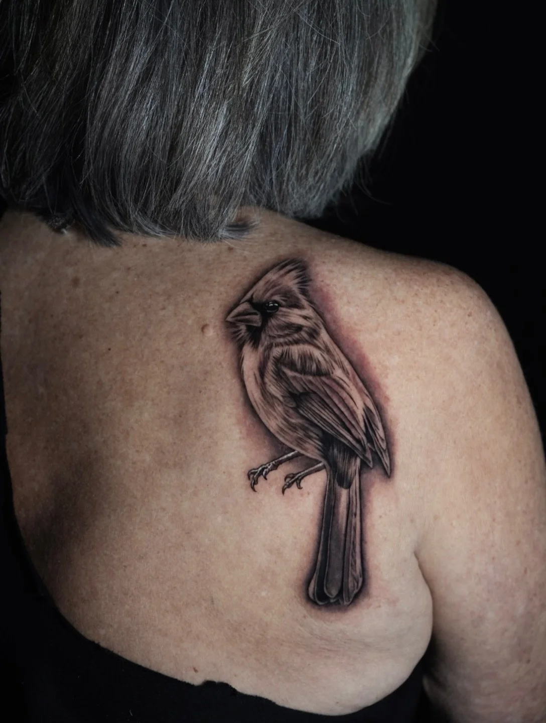 cardinal on the shoulder 🪶 

done by @s0phia_tattoos 

#cardinal #blackandgreyrealism #birdtattoo #tattoooftheday #womantattooartist