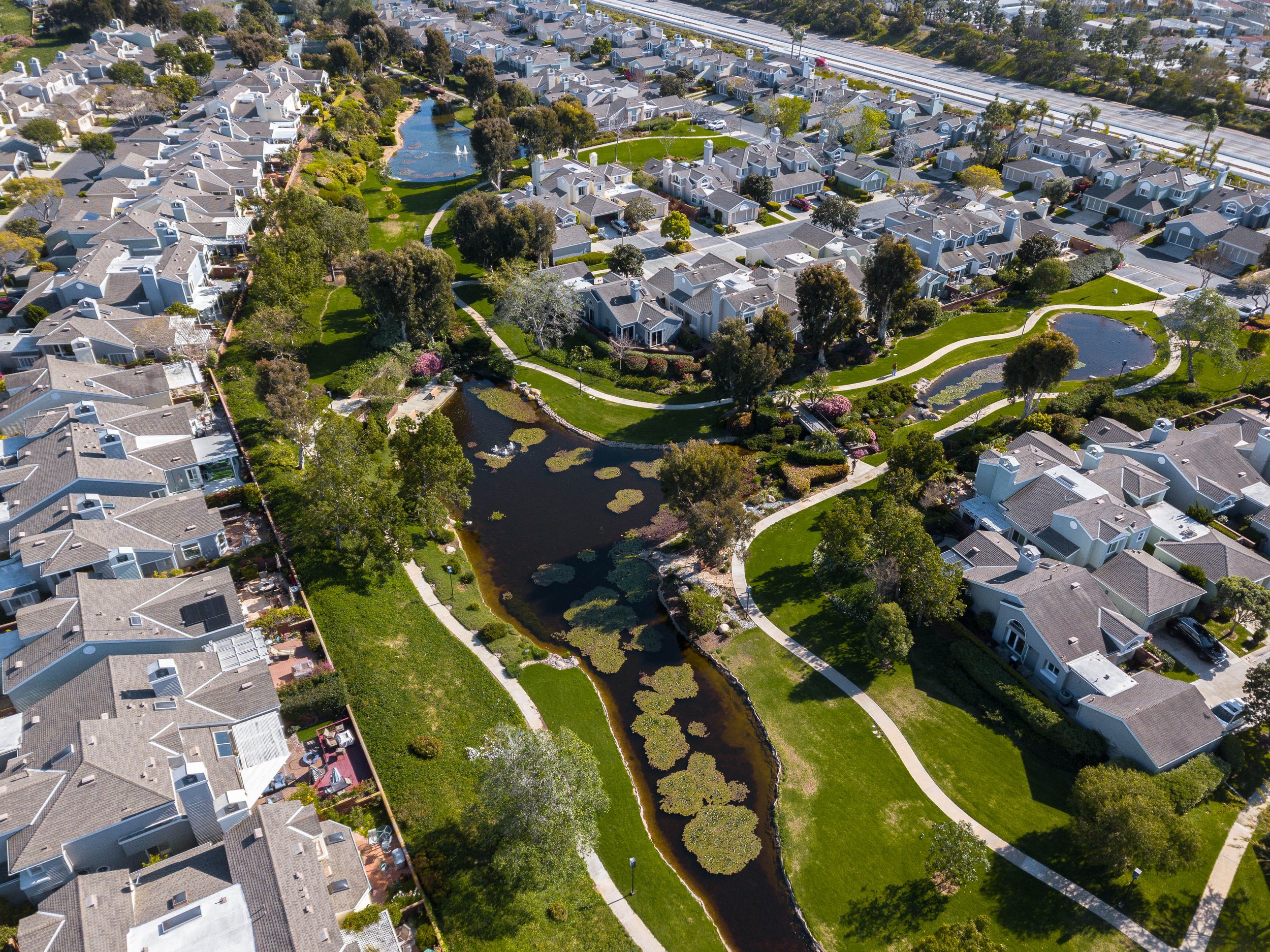 DJI_0124.jpg
