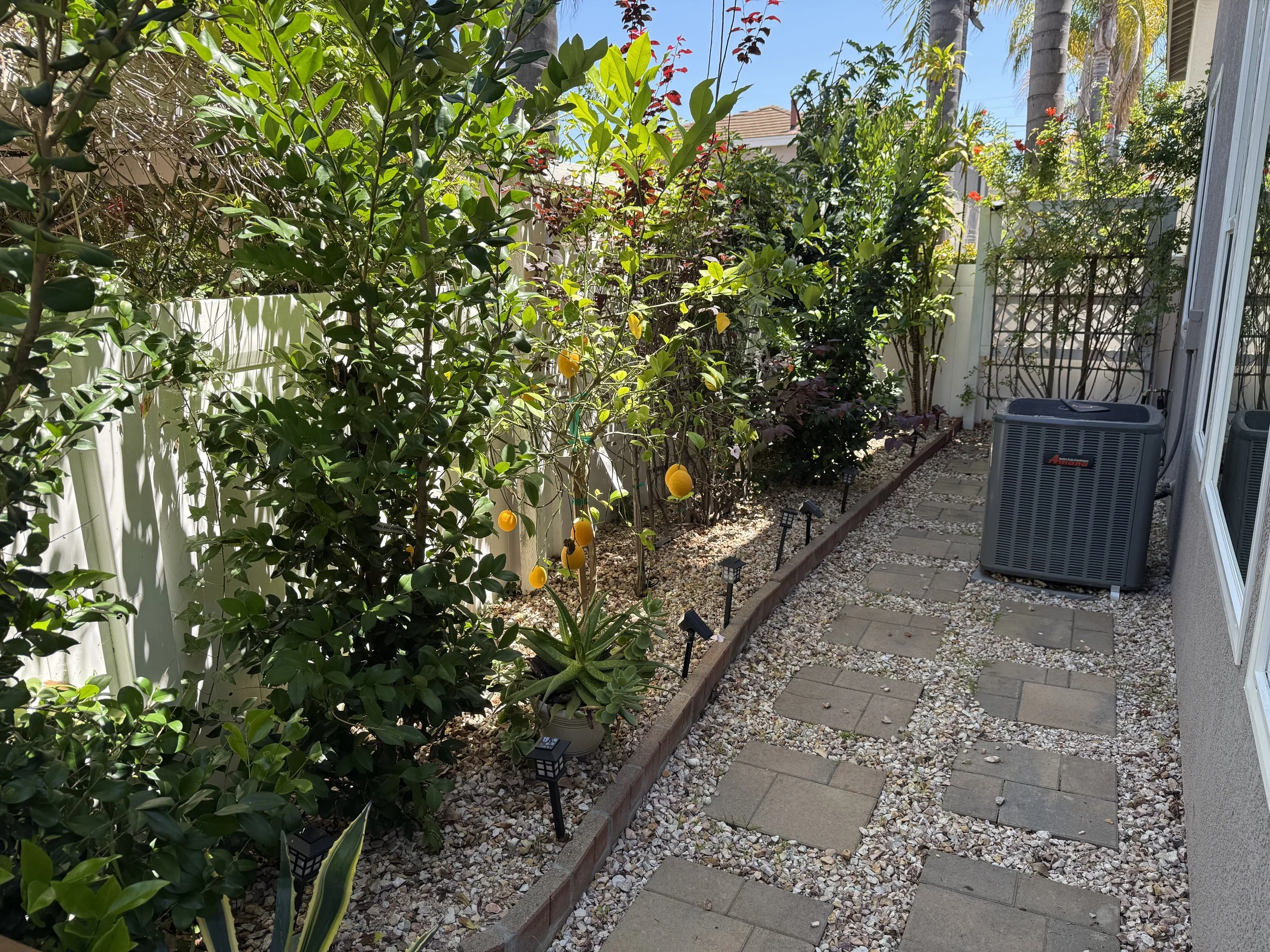 IMG_3539.jpeg