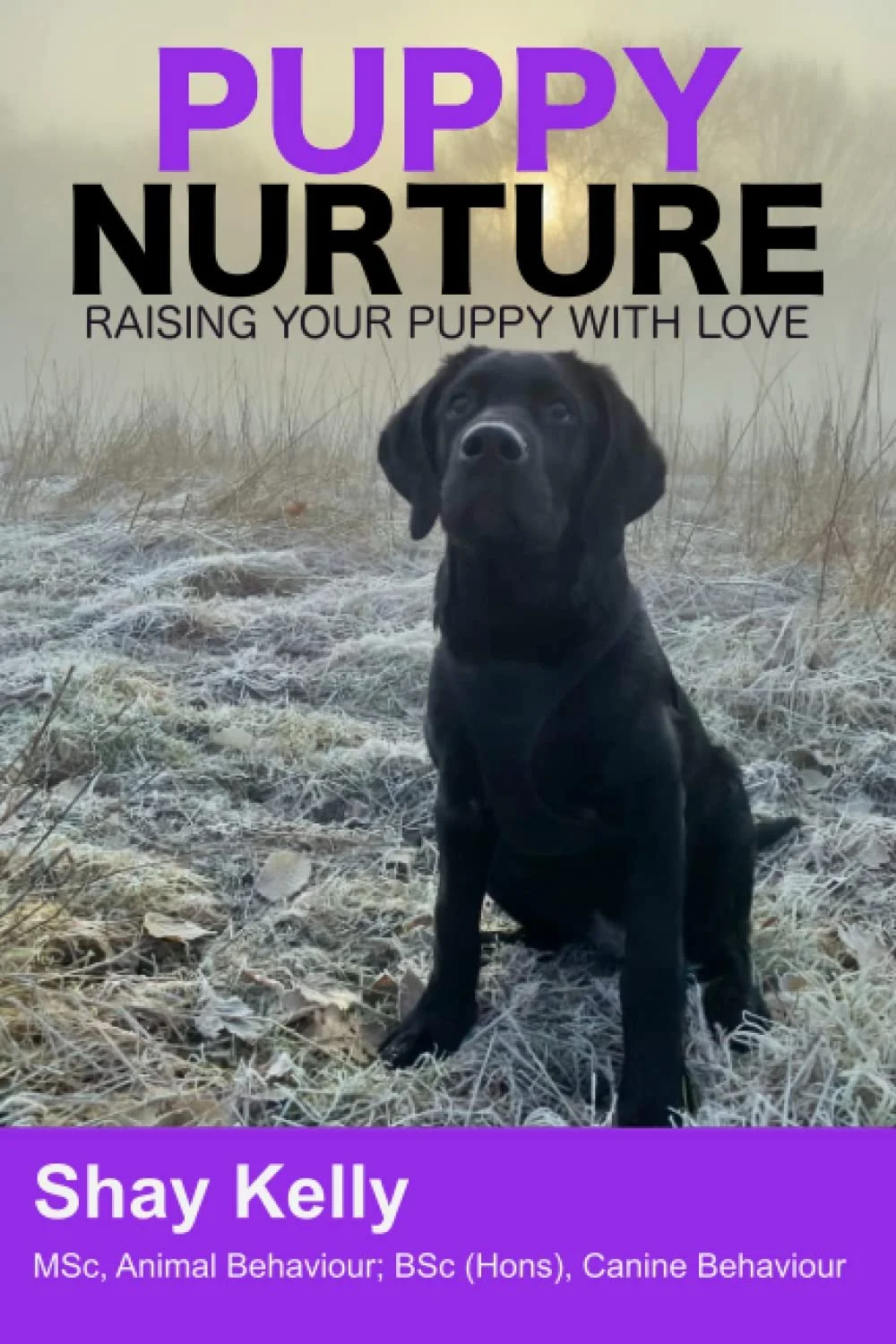 Getting a new puppy is an exciting time, but caring for them and raising them into happy and content member of the family is, often, not without its challenges. Shay Kelly transfers his scientific knowledge into user-friendly information which guides