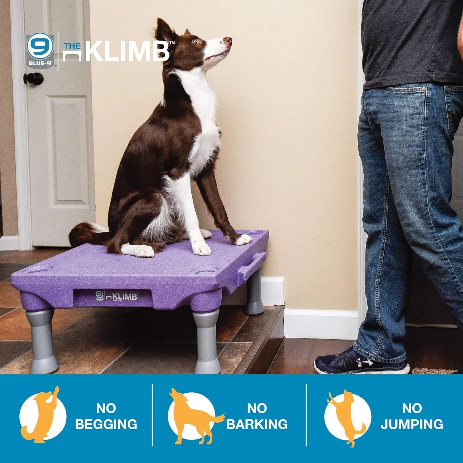 Blue-9 Pet Products KLIMB Dog Training Platform