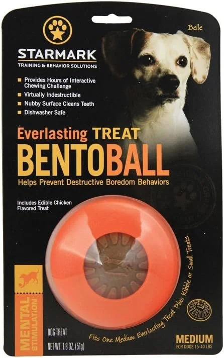 Everlasting Treat Bento Ball Chew