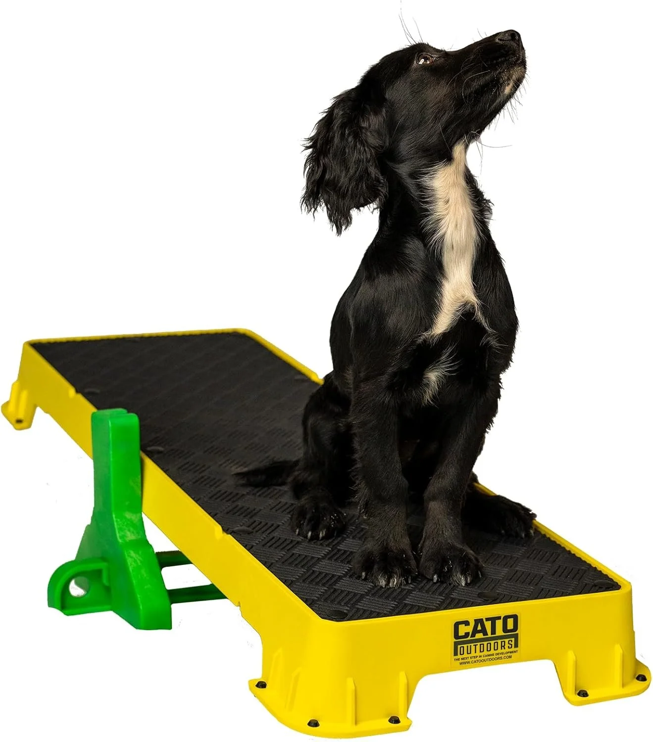 Cato Board - Dog Platform with Tilt Attachment