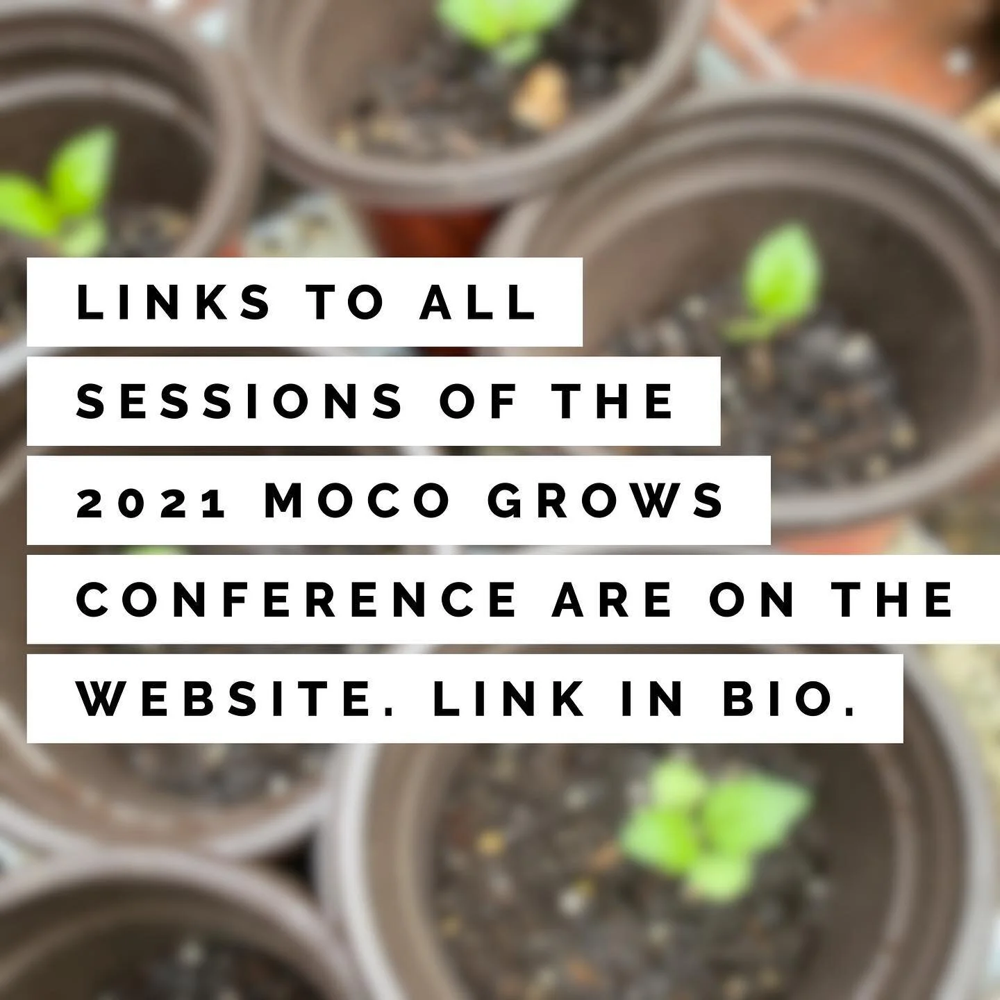 Just a reminder. Head over and take a look. As always. Everything is free. :)