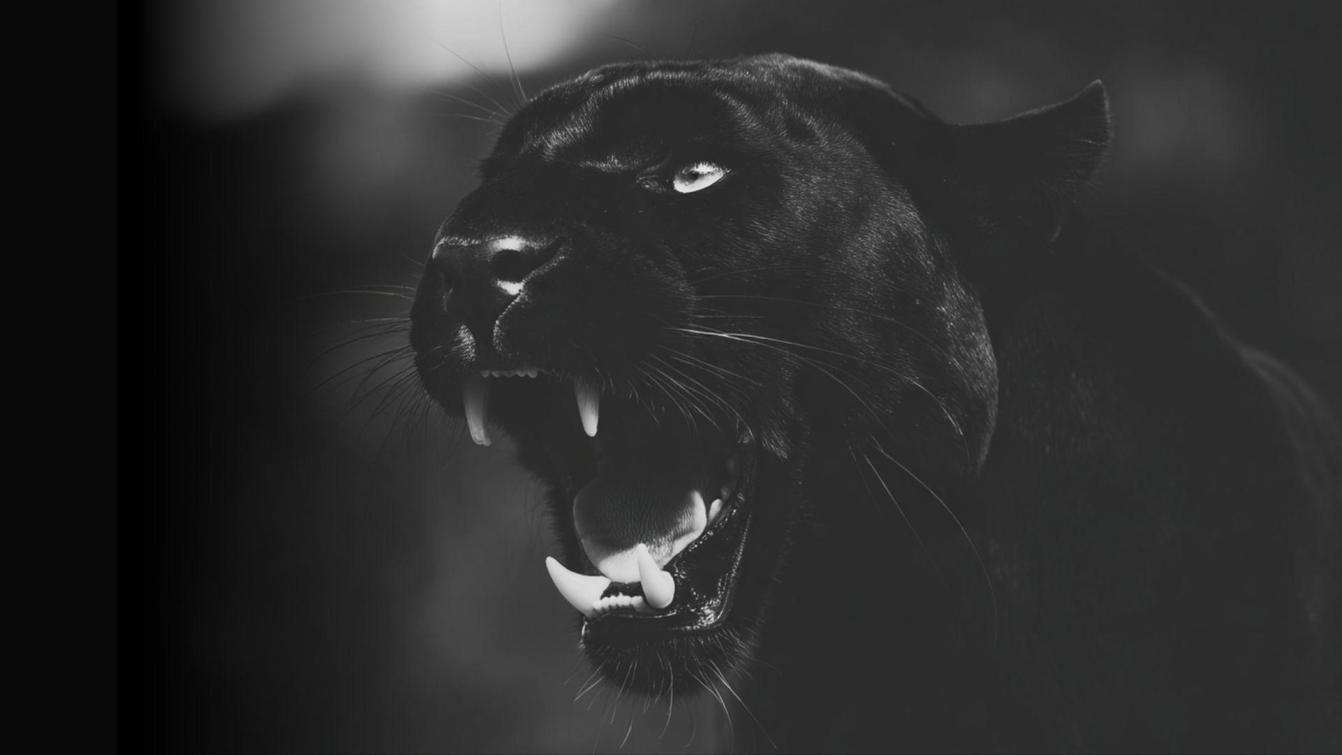 A Quiet Reasonable Exit. Or Something Feral.