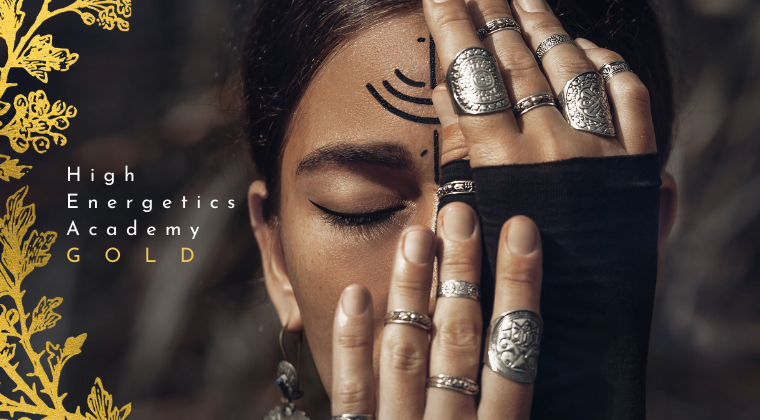 High Energetics Academy (12).png