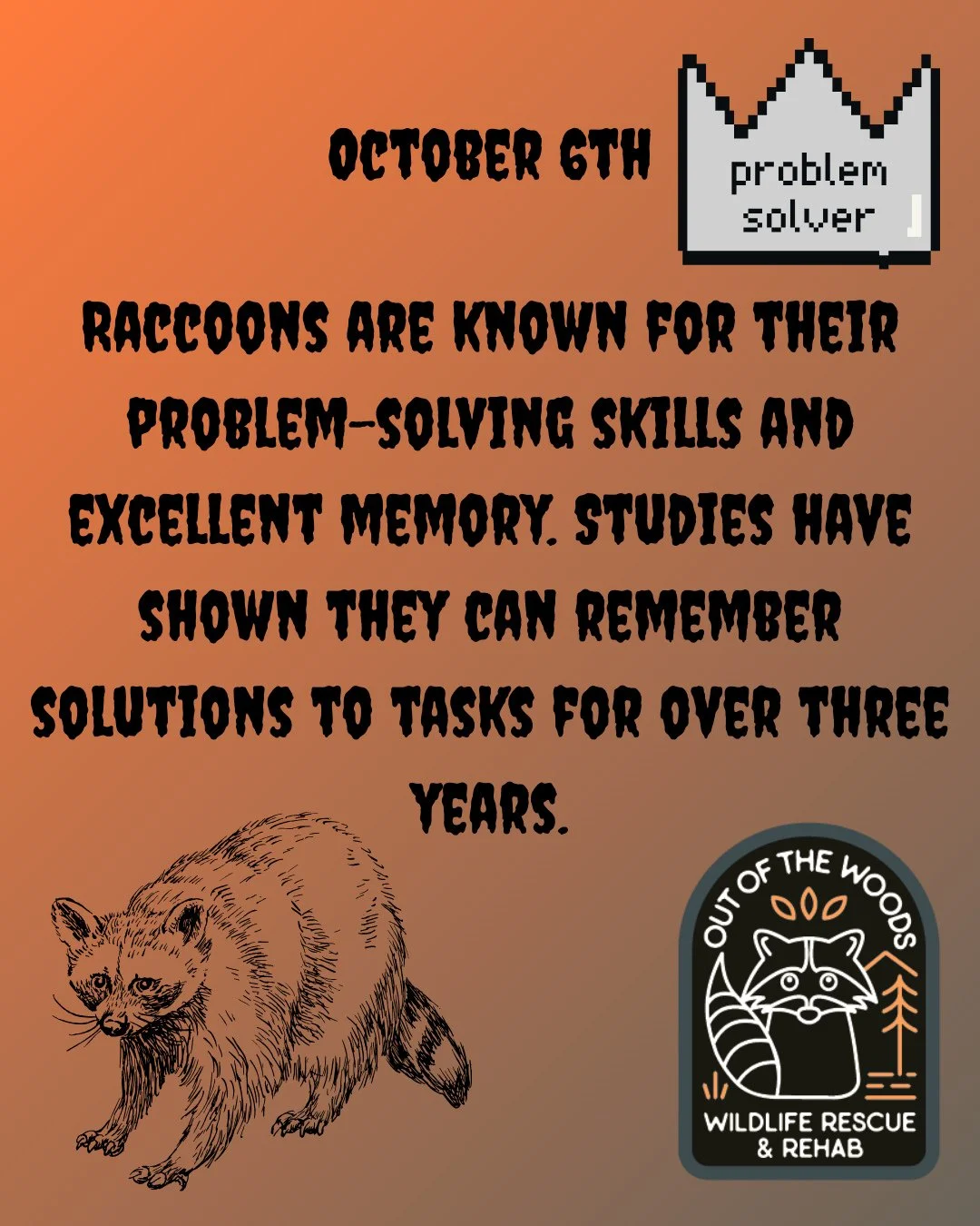 DAY 6 OF 31 DAYS OF CREEPY FACTS! #halloween #october  #creepy #wildlifeeducation #tennessee #outofthewoodswildlife #westtennessee #spider #bat #worm #snake #raccoon #rat