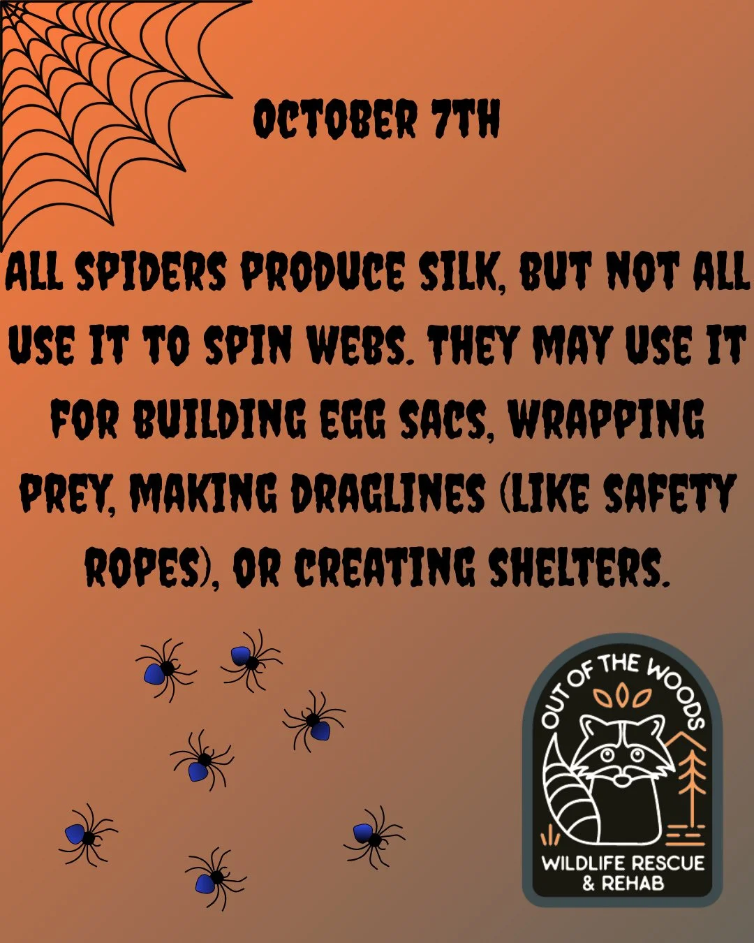 DAY 7 OF 31 DAYS OF CREEPY FACTS! #halloween #october  #creepy #wildlifeeducation #tennessee #outofthewoodswildlife #westtennessee #spider #bat #worm #snake #raccoon #rat