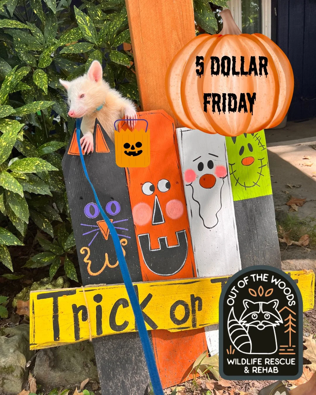 Hi Friends, let&rsquo;s fill D&rsquo;White&rsquo;s trick or treat bag for 5 dollar Friday! 🎃 A donation of 5 dollars makes a difference because it can be used to buy something as small as a cup of coffee for one of our hard working caregivers, purch