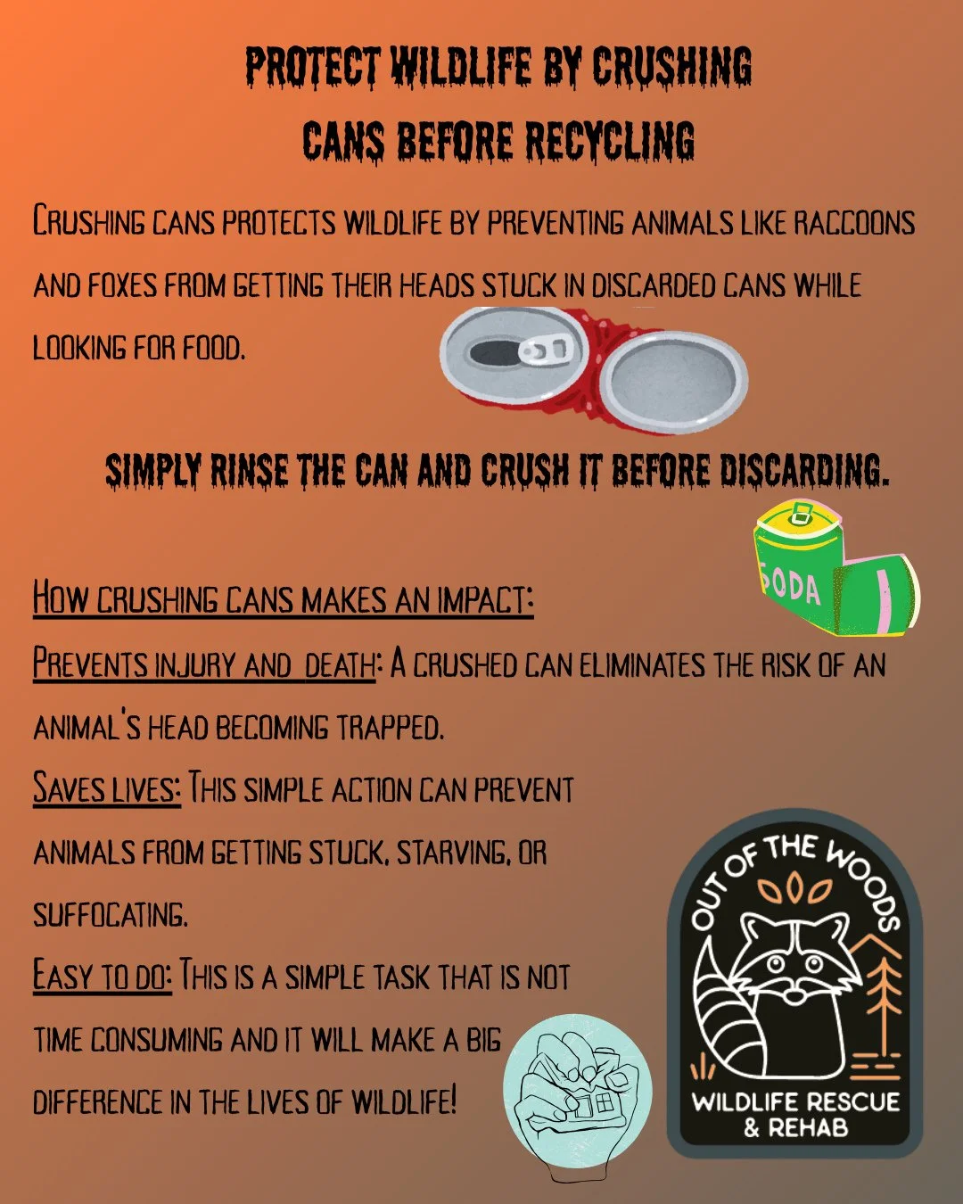 Be a recycling all star and be sure to protect wildlife by crushing your cans! ⭐️ #wildlifeeducation #outofthewoodswildlife #recycling #tennessee #westtennessee #coexist #crushyourcans #wildliferehab #wildliferescue #protectwildlife