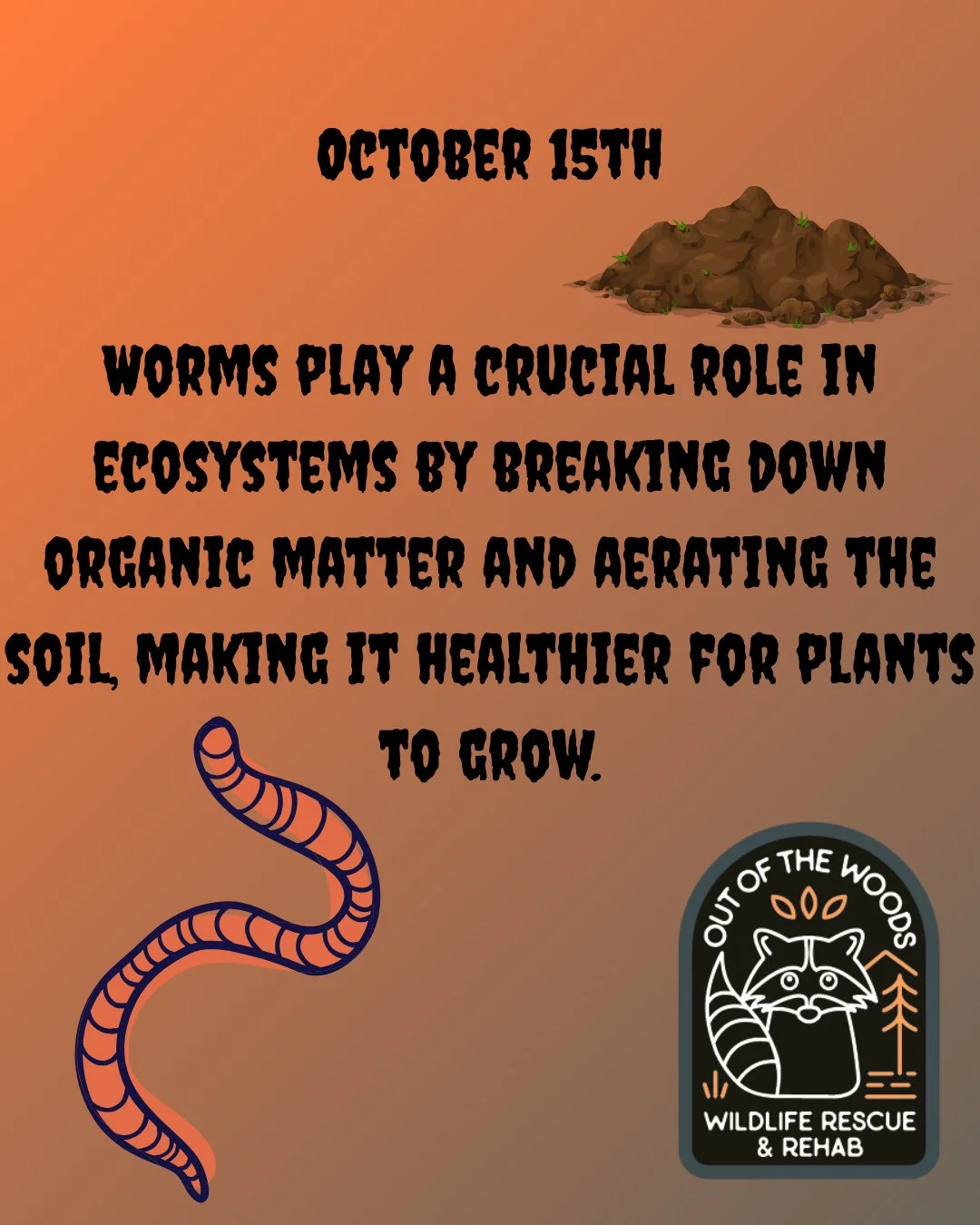 DAY 15 OF 31 DAYS OF CREEPY FACTS! #halloween #october  #creepy #wildlifeeducation #tennessee #outofthewoodswildlife #westtennessee #spider #bat #worm #snake #raccoon #rat