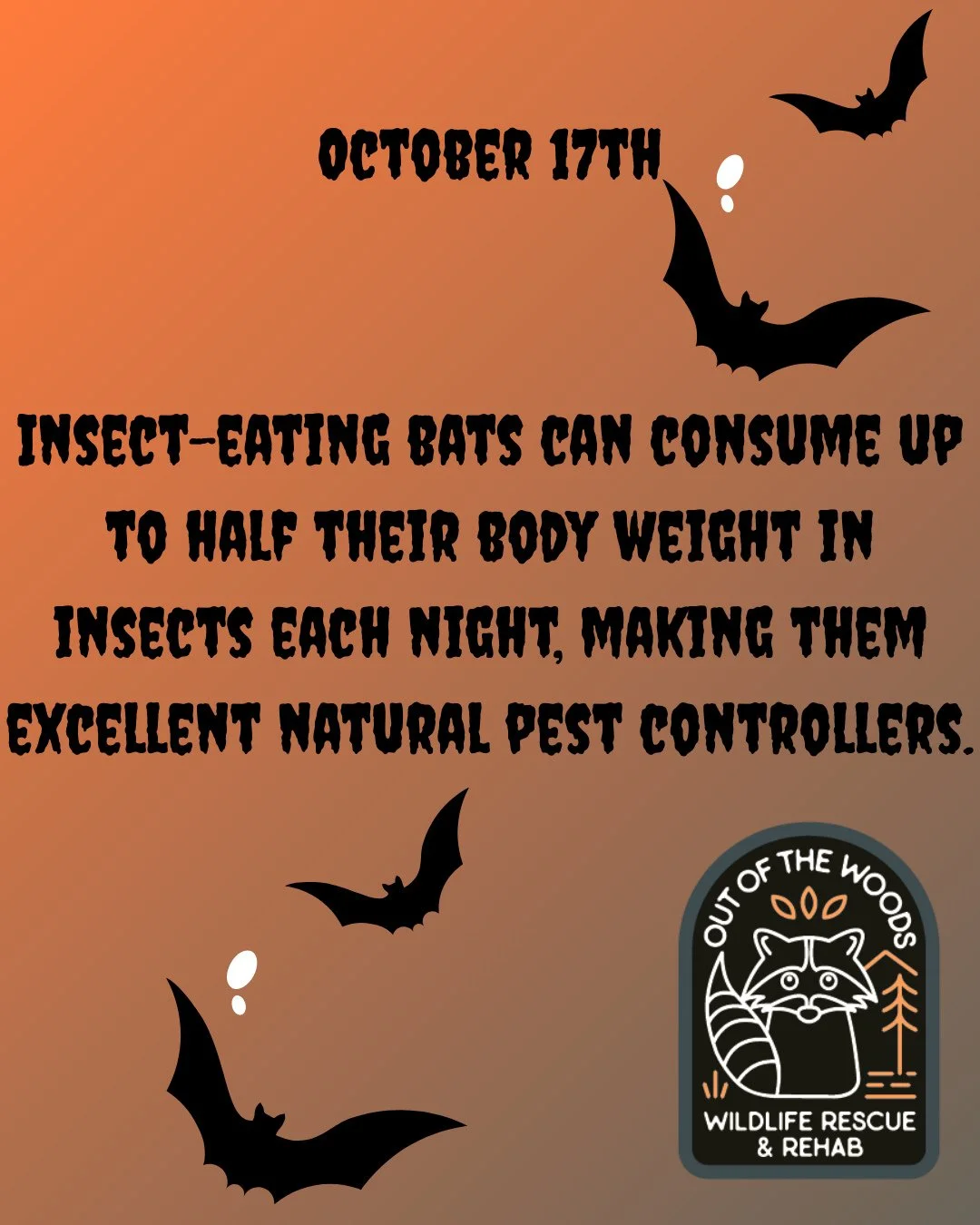 DAY 17 OF 31 DAYS OF CREEPY FACTS! #halloween #october  #creepy #wildlifeeducation #tennessee #outofthewoodswildlife #westtennessee #spider #bat #worm #snake #raccoon #rat
