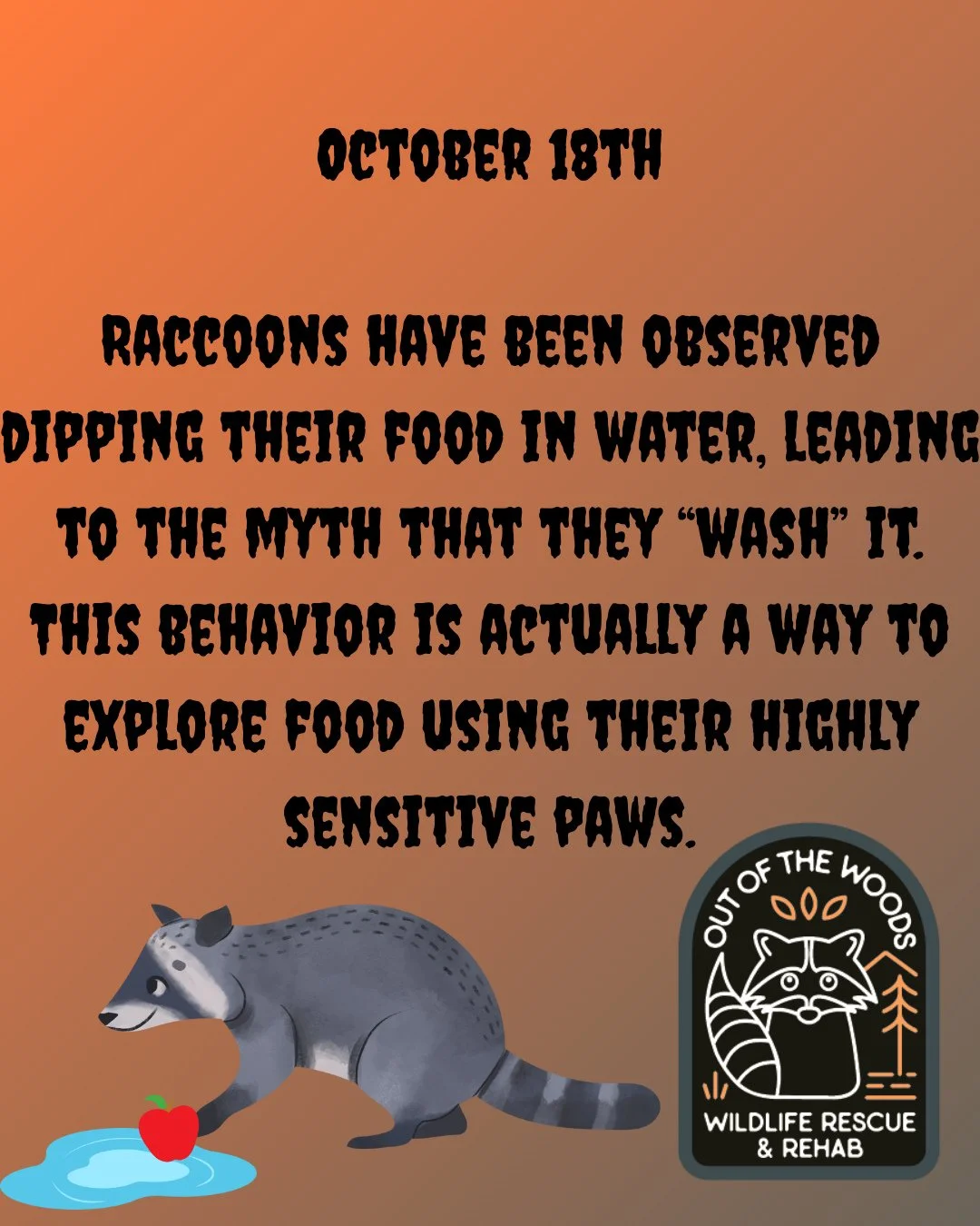 DAY 18 OF 31 DAYS OF CREEPY FACTS! #halloween #october  #creepy #wildlifeeducation #tennessee #outofthewoodswildlife #westtennessee #spider #bat #worm #snake #raccoon #rat