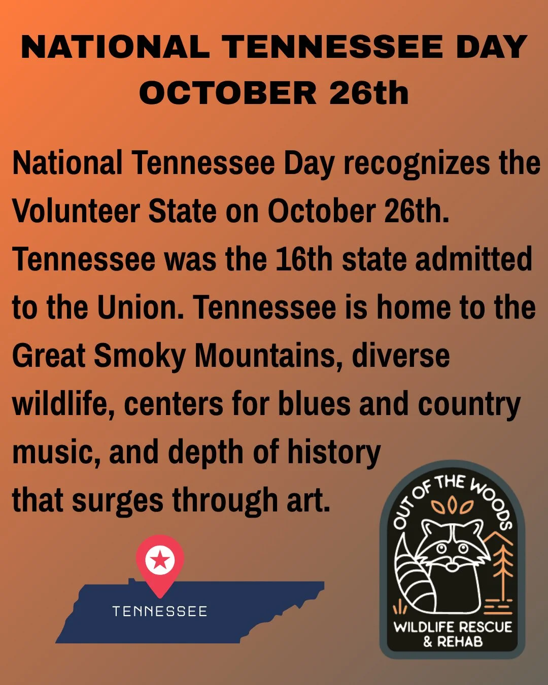 Happy National Tennessee Day! #nationaltennesseeday #outofthewoodswildlife #tennessee #westtennessee #wildlifeeducation #wildliferescue #october