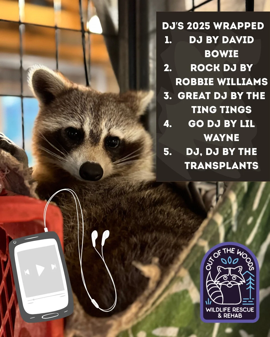DJ&rsquo;s 2025 wrapped! Notice a common theme? 😂 #DJ #raccoon #nonreleasable #educationalambassador #outofthewoodswildlife #tennessee #2025wrapped #raccoonsofinstagram #playlist #wildliferescue #wildliferehab #wildlifeeducation