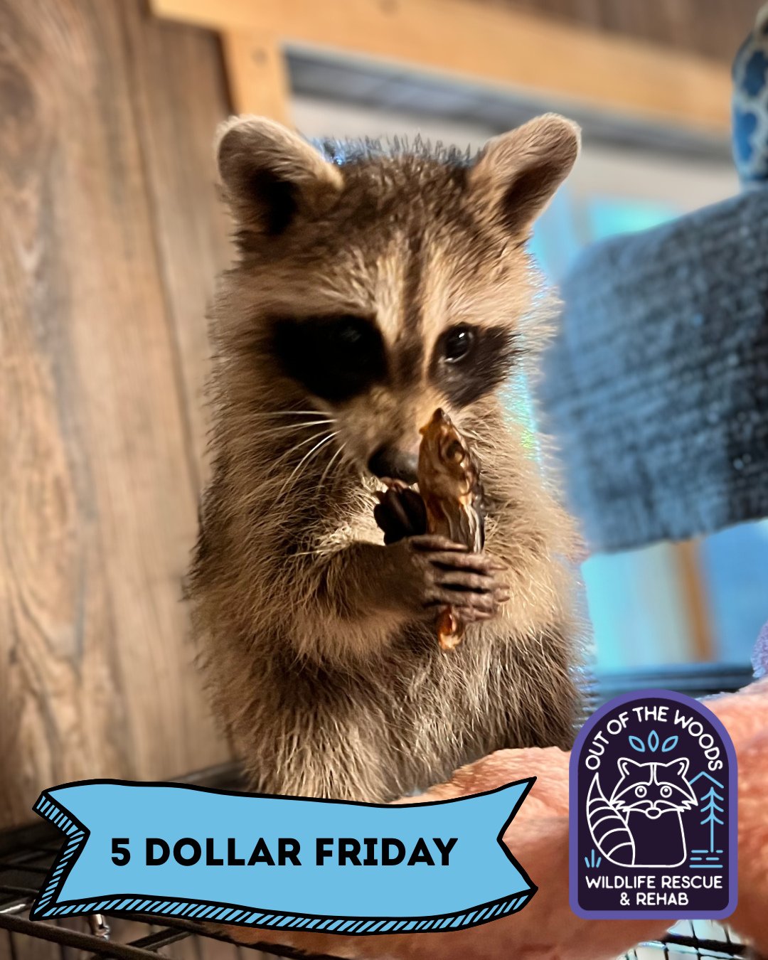 Hi Friends, It&rsquo;s 5 dollar Friday! A donation of 5 dollars makes a difference because it can be used to buy something as small as a cup of coffee for one of our hard working caregivers, purchase meals for the critters, or added to our funds to g