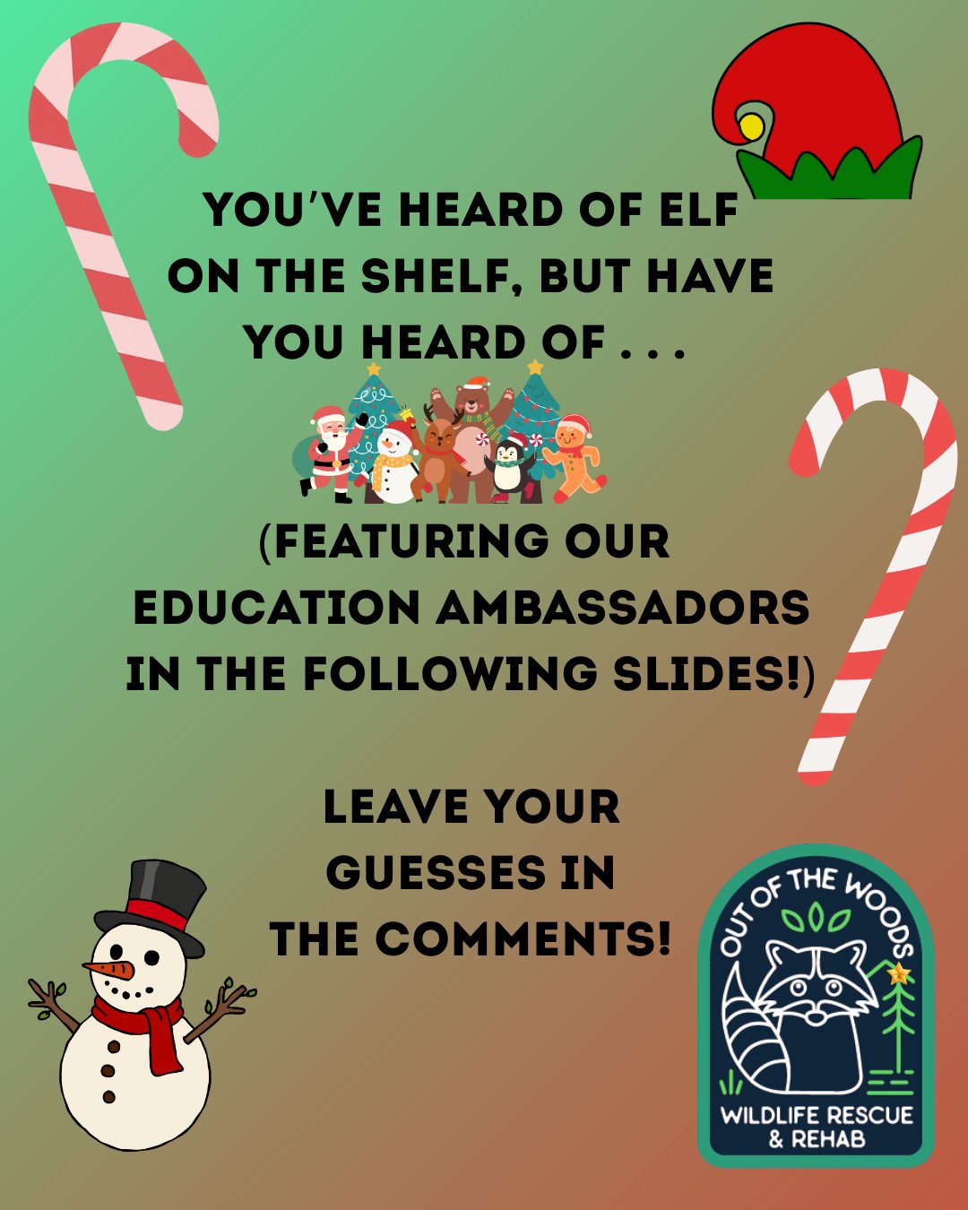 You&rsquo;ve heard of elf on the shelf, but have you heard of . . . Leave your guesses in the comments for each slide featuring each of our education ambassadors! **(Name of education ambassador) on the (object)** Let&rsquo;s have some festive fun! #