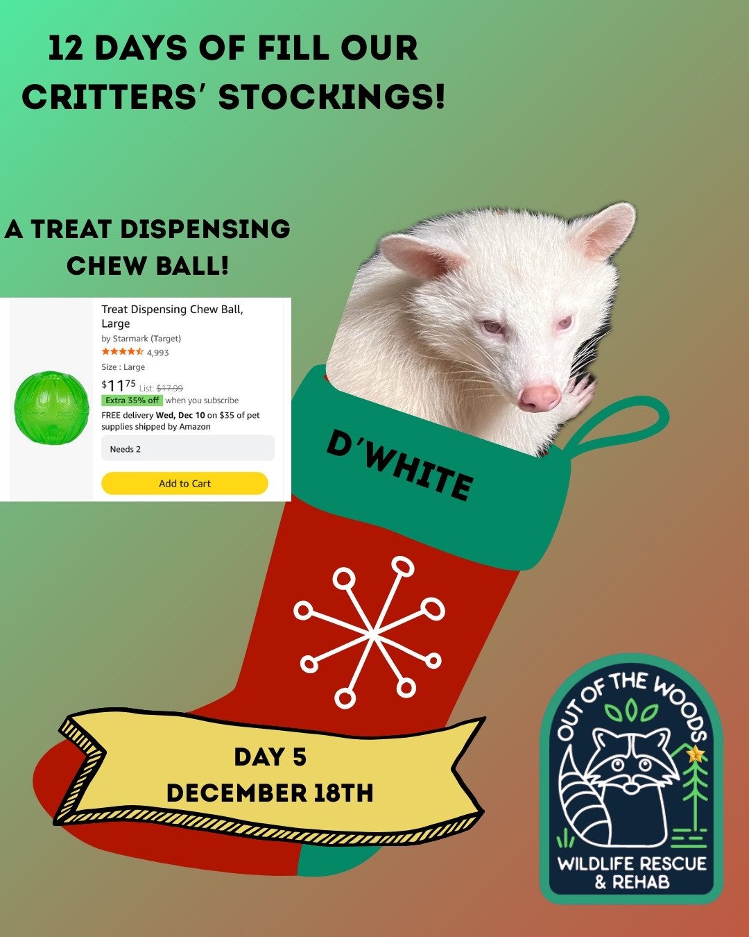 Day 5 of the 12 days of fill our critter&rsquo;s stockings features D&rsquo;White, our albino raccoon education ambassador, and a treat dispensing chew toy! If you&rsquo;re interested in contributing, you can find this item and the rest of our Amazon