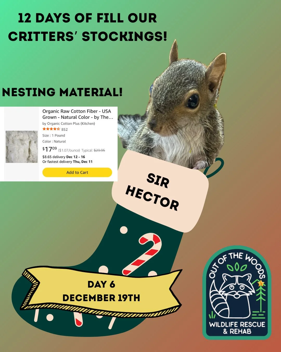 Day 6 of the 12 days of fill our critter&rsquo;s stockings features Sir Hector, who is one of our squirrel patients, and nesting material. If you&rsquo;re interested in contributing, you can find this item and the rest of our Amazon wishlist here: ht